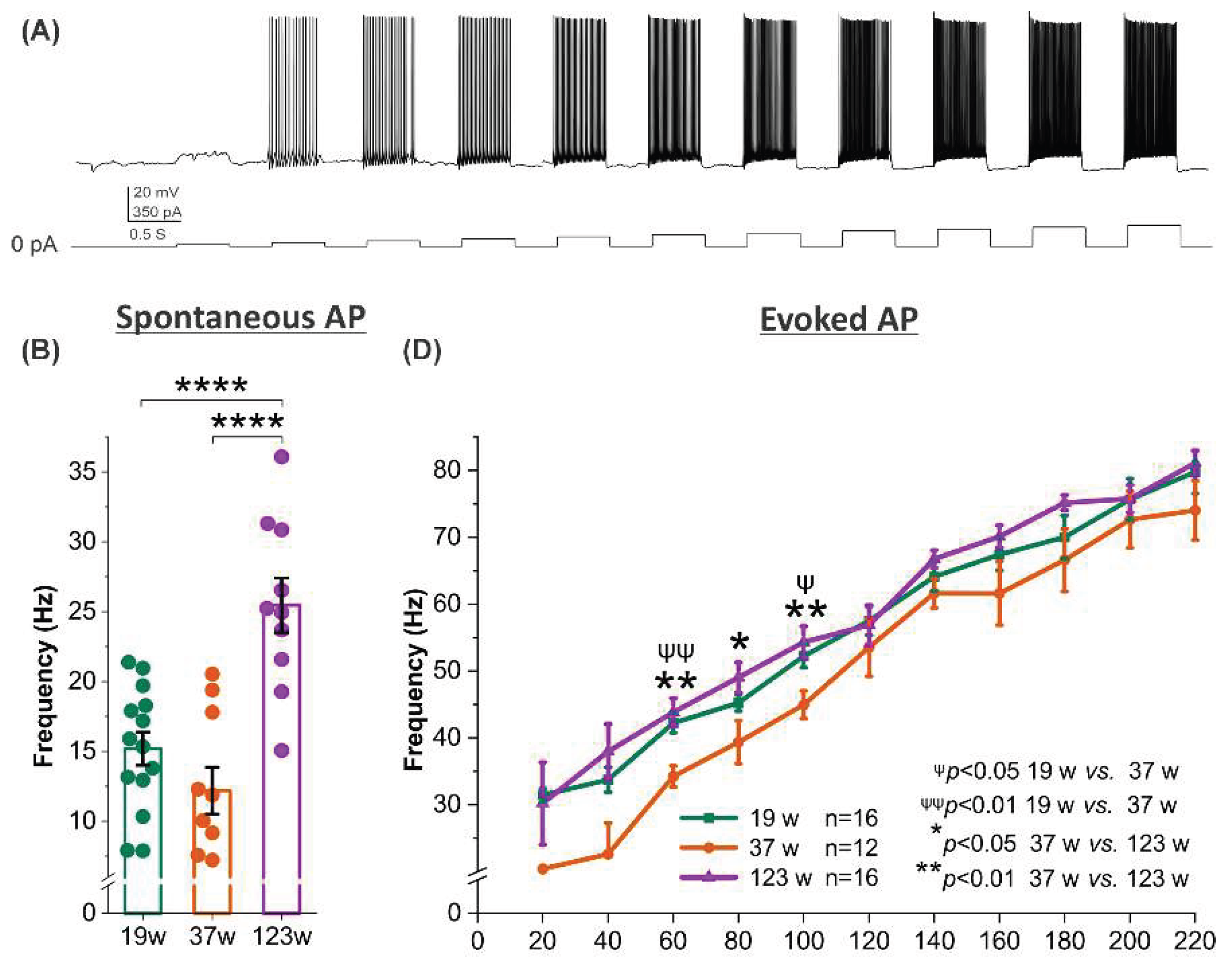 Preprints 199494 g004a