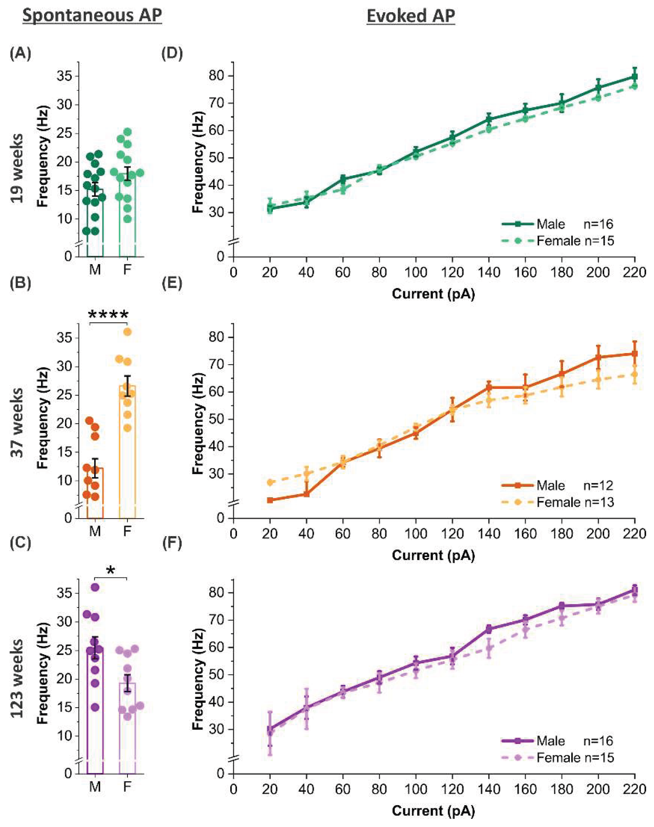 Preprints 199494 g006
