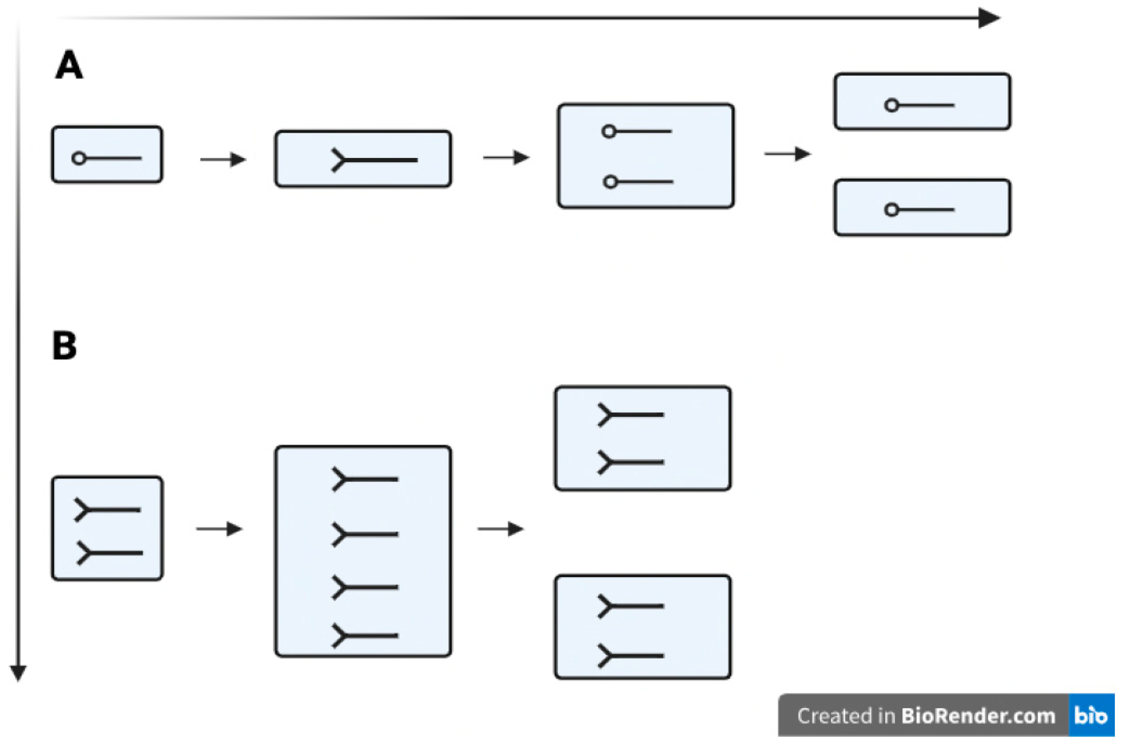 Preprints 203976 g001