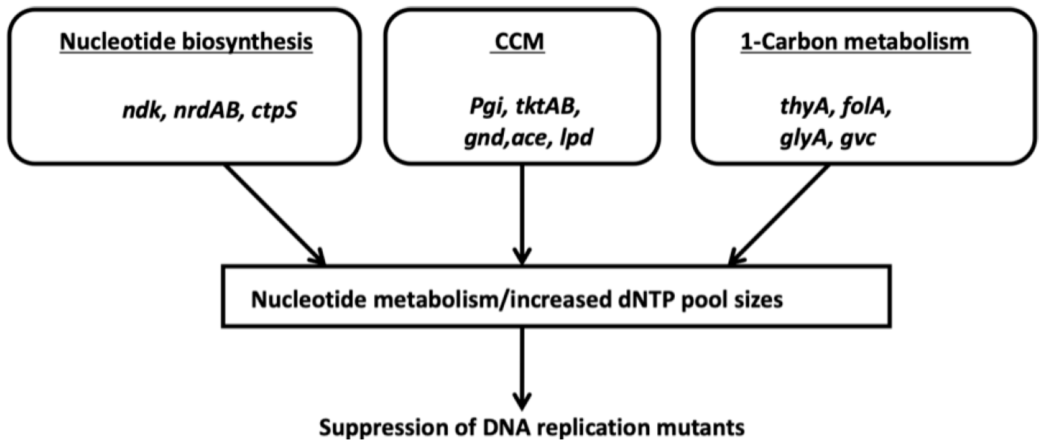 Preprints 203976 g002