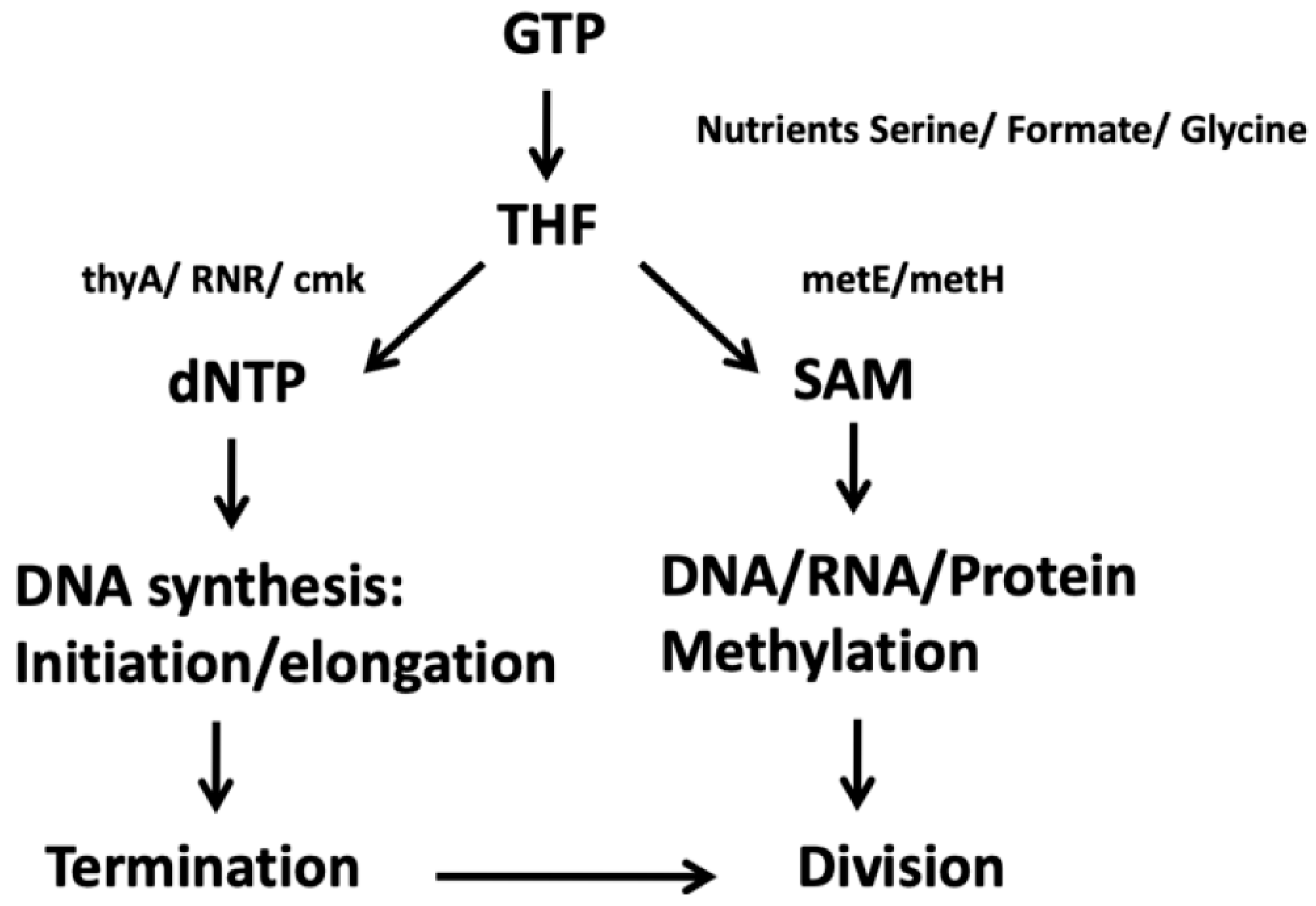 Preprints 203976 g004