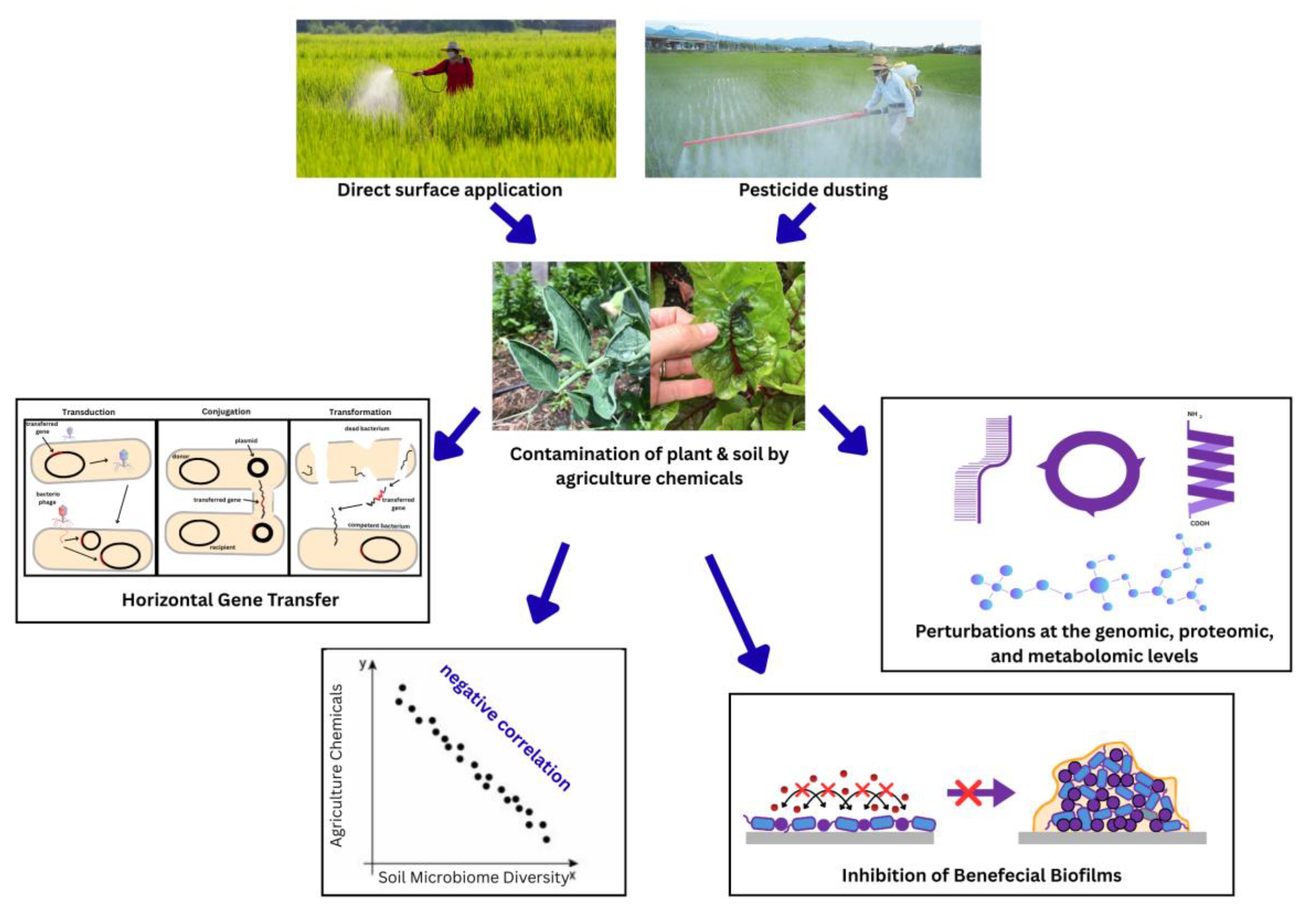 Preprints 181269 g001