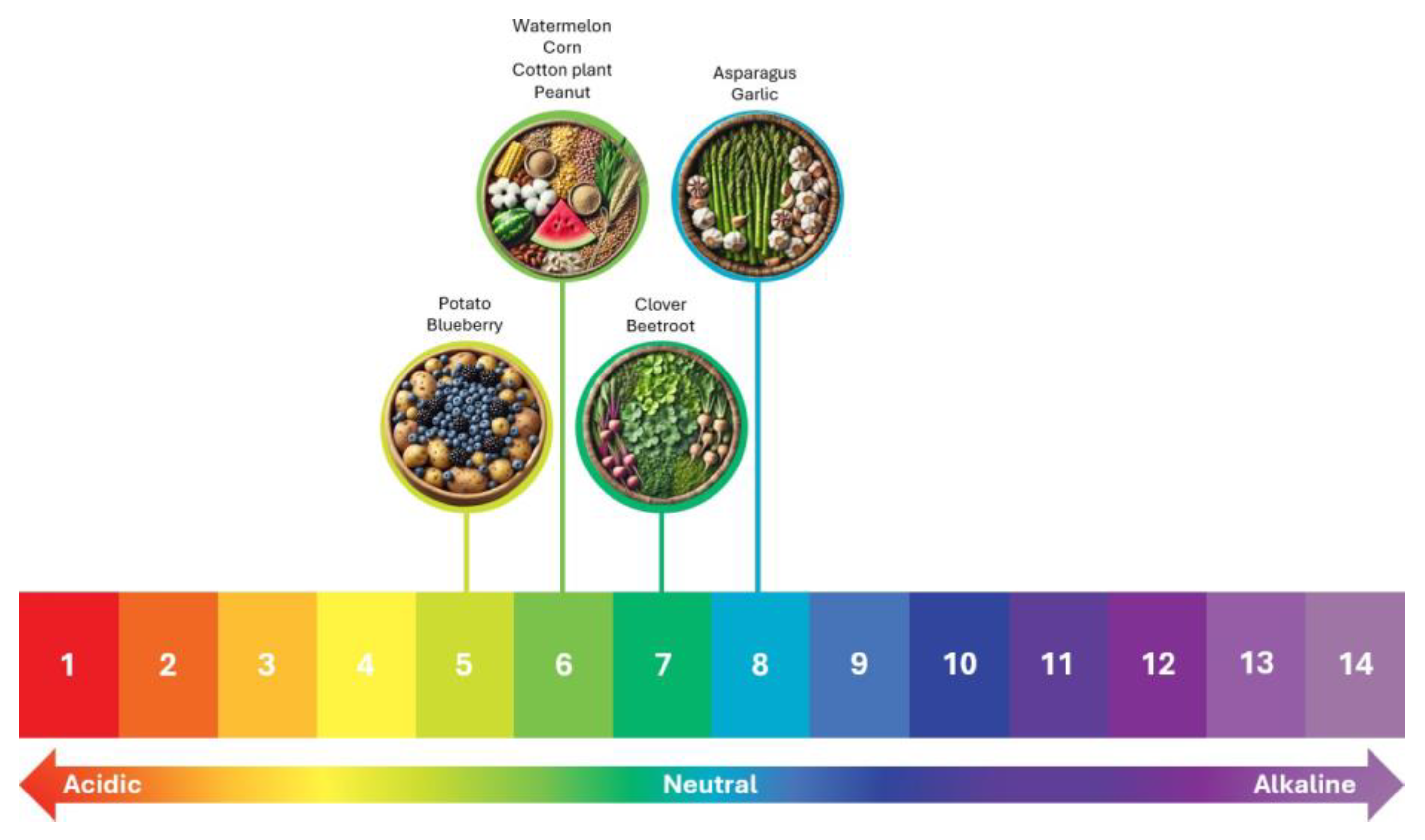 Preprints 151684 g001
