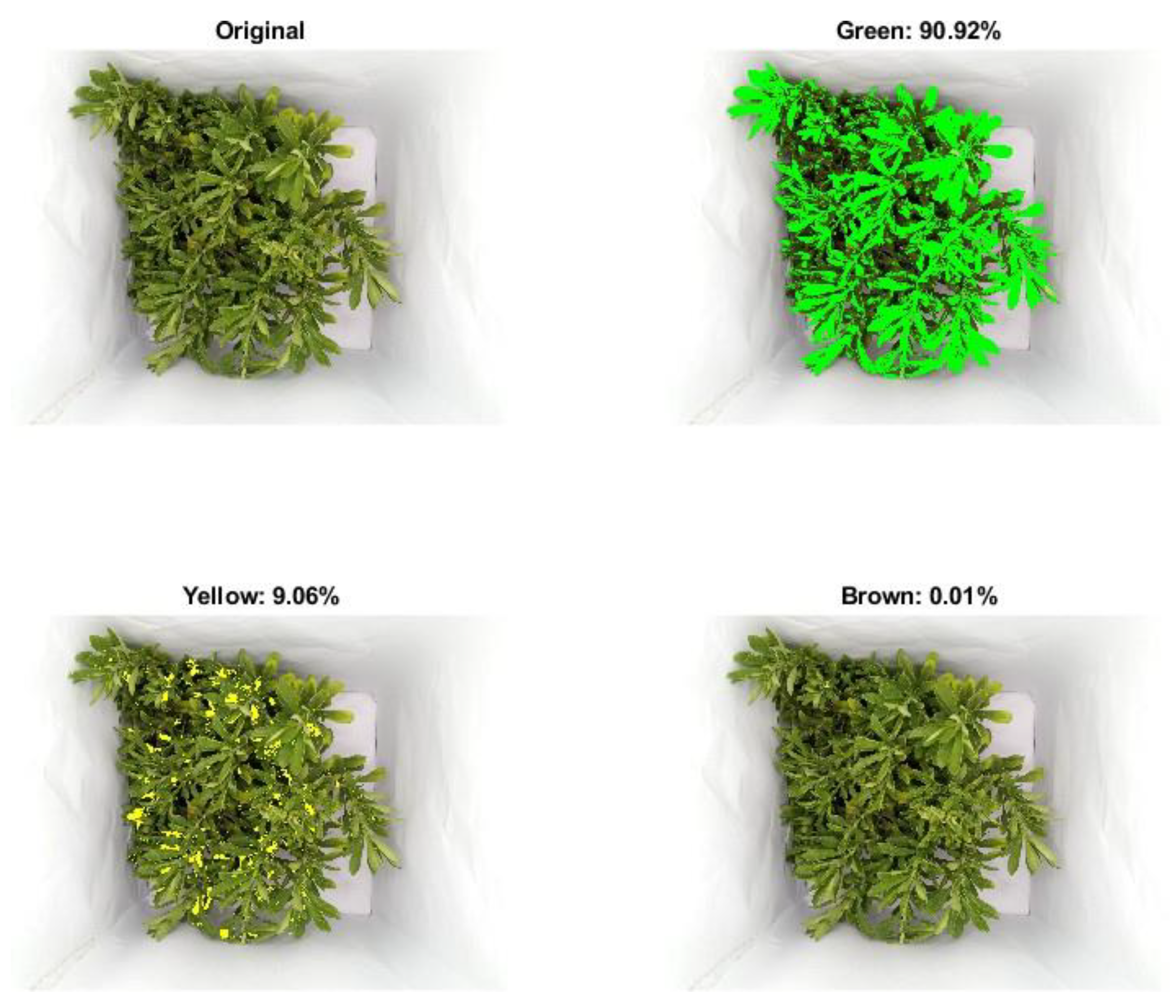 Preprints 151684 g006