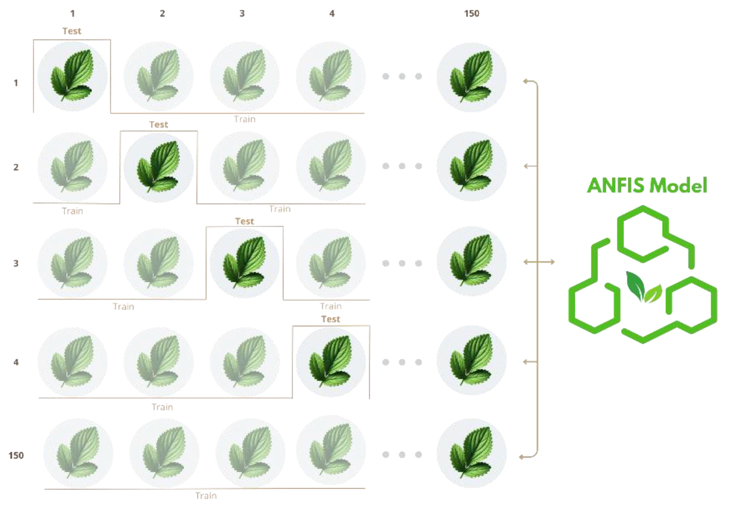 Preprints 151684 g014