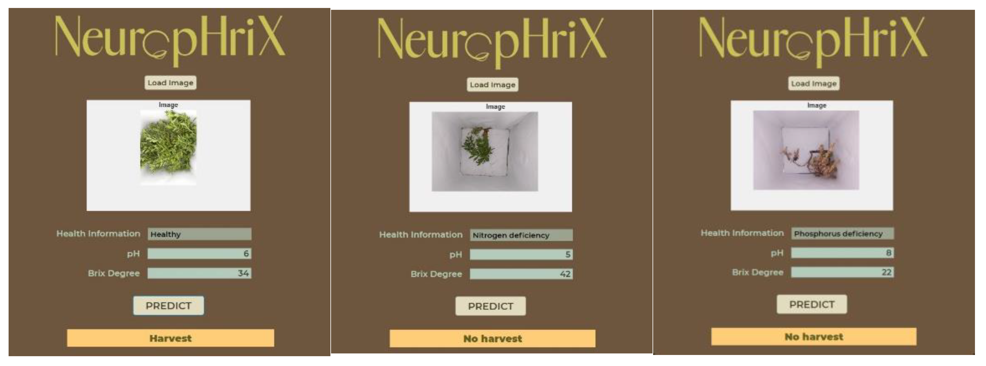 Preprints 151684 g017