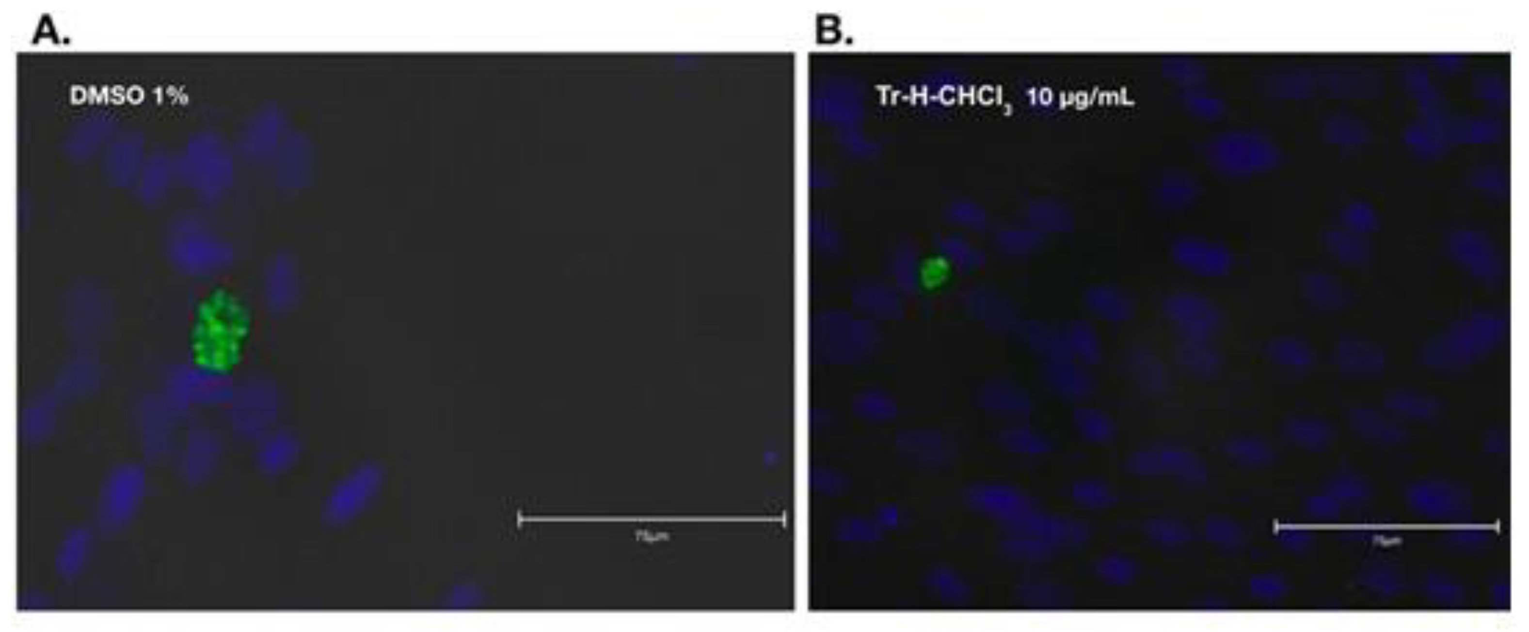 Preprints 185517 g001