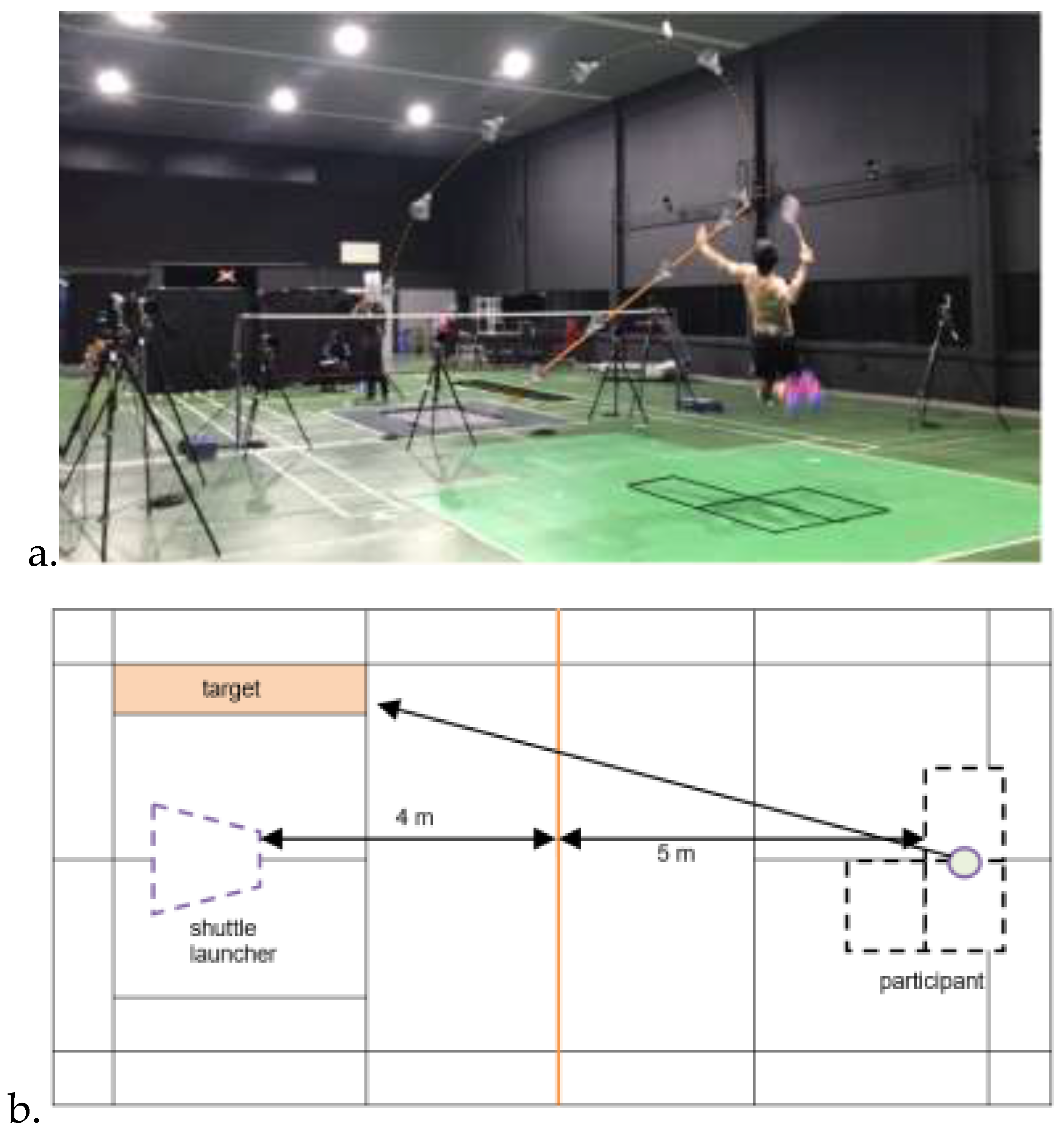 Preprints 141701 g001