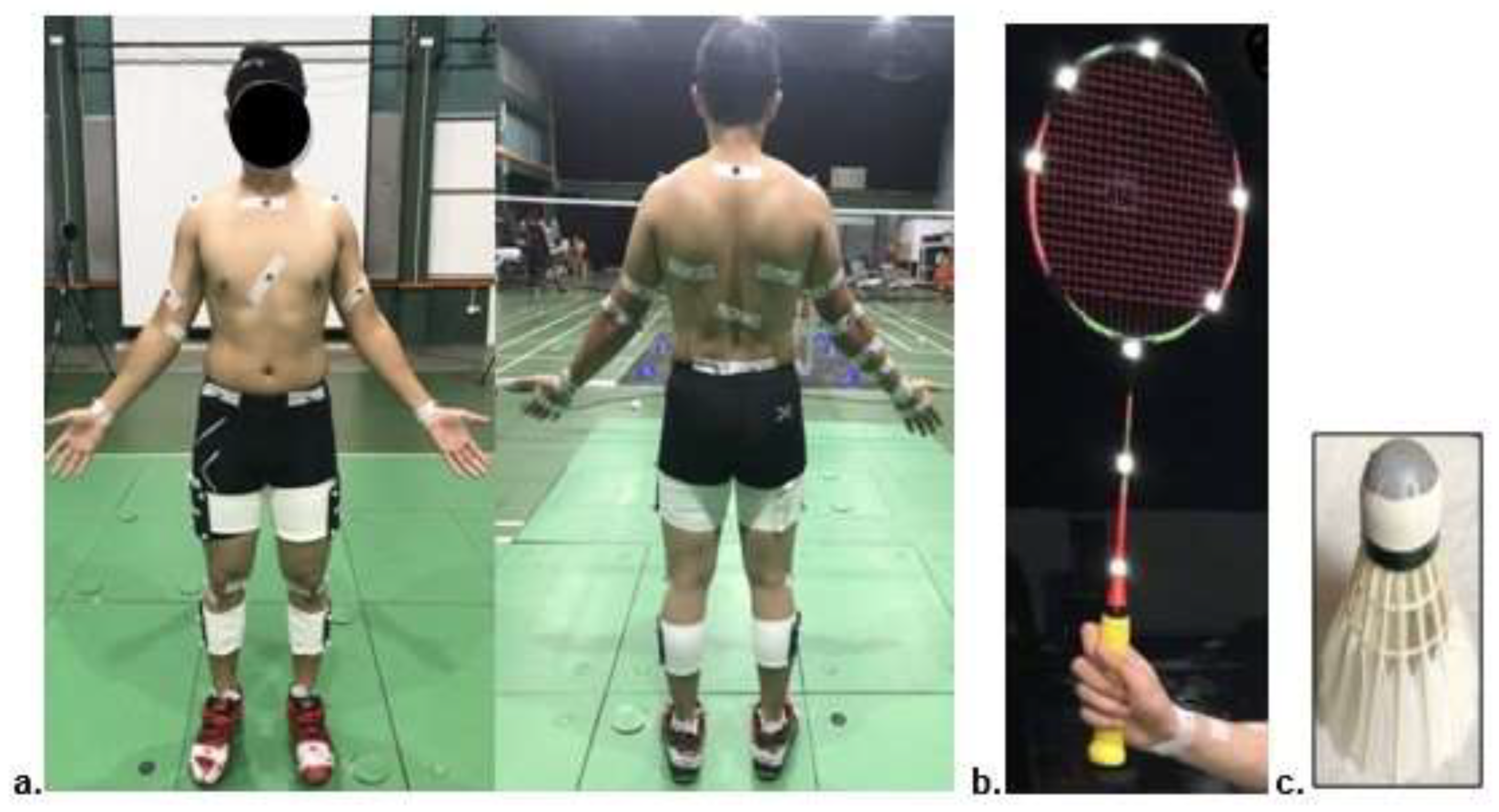 Preprints 141701 g002