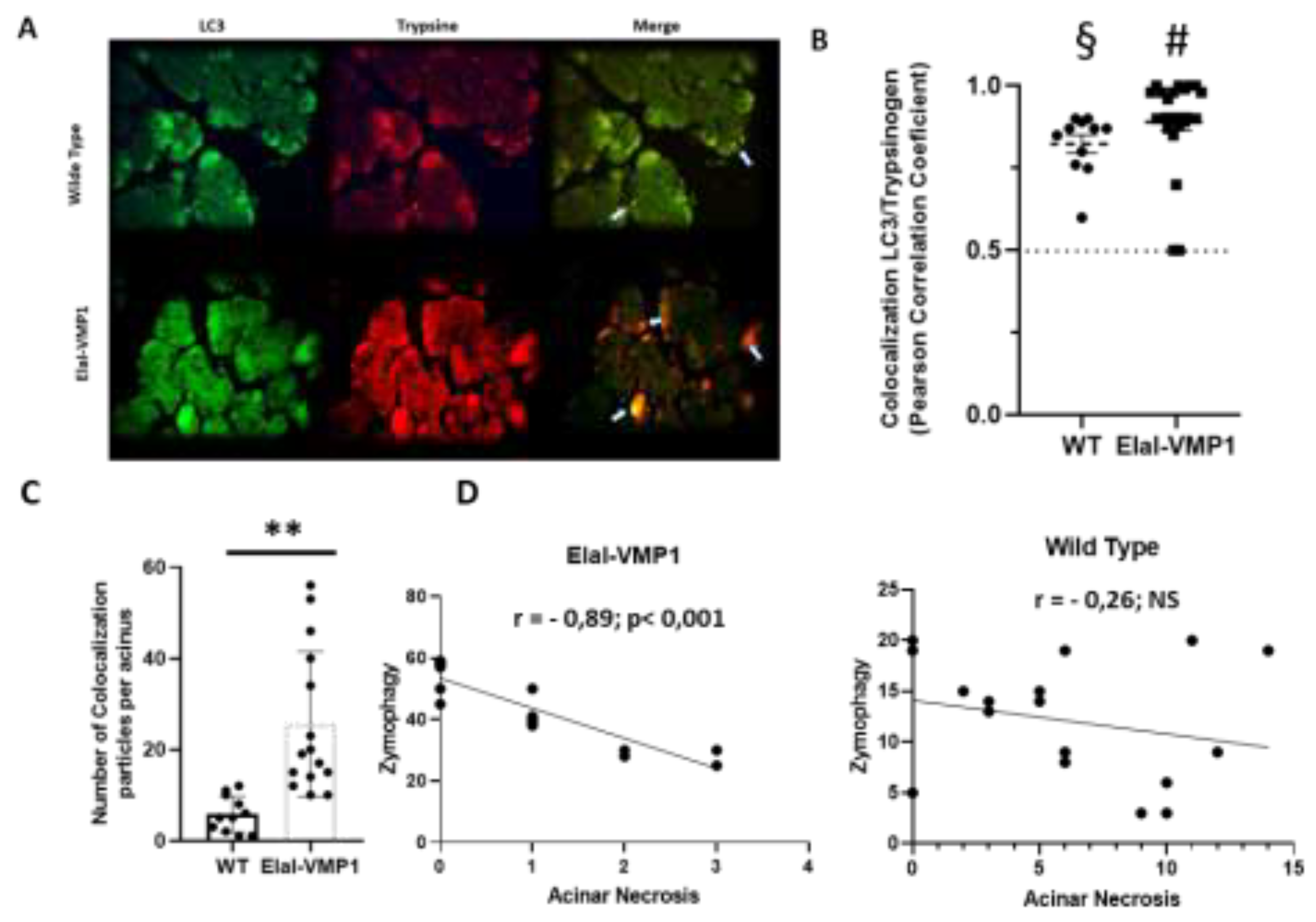 Preprints 150089 g002
