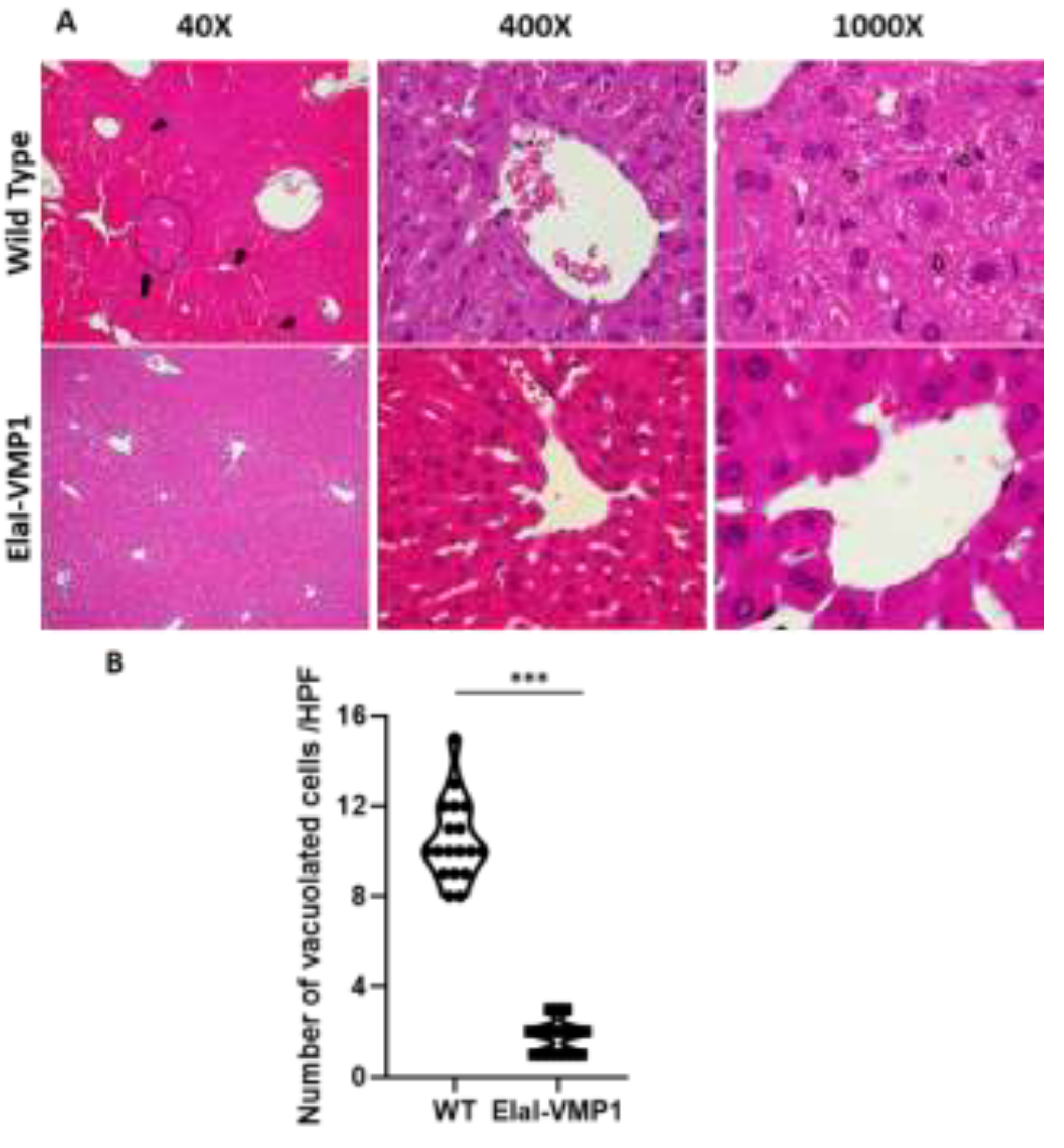 Preprints 150089 g003