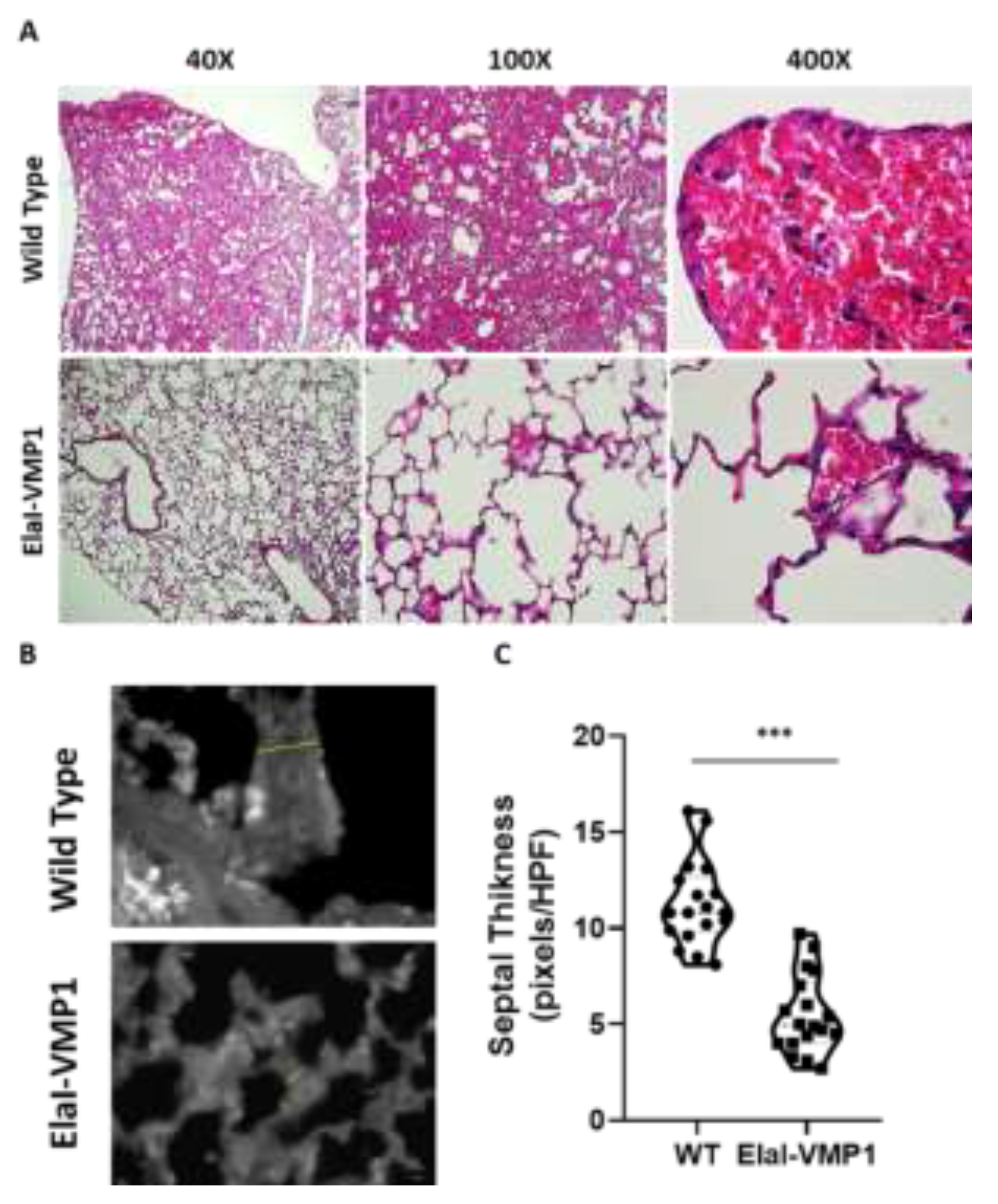 Preprints 150089 g005