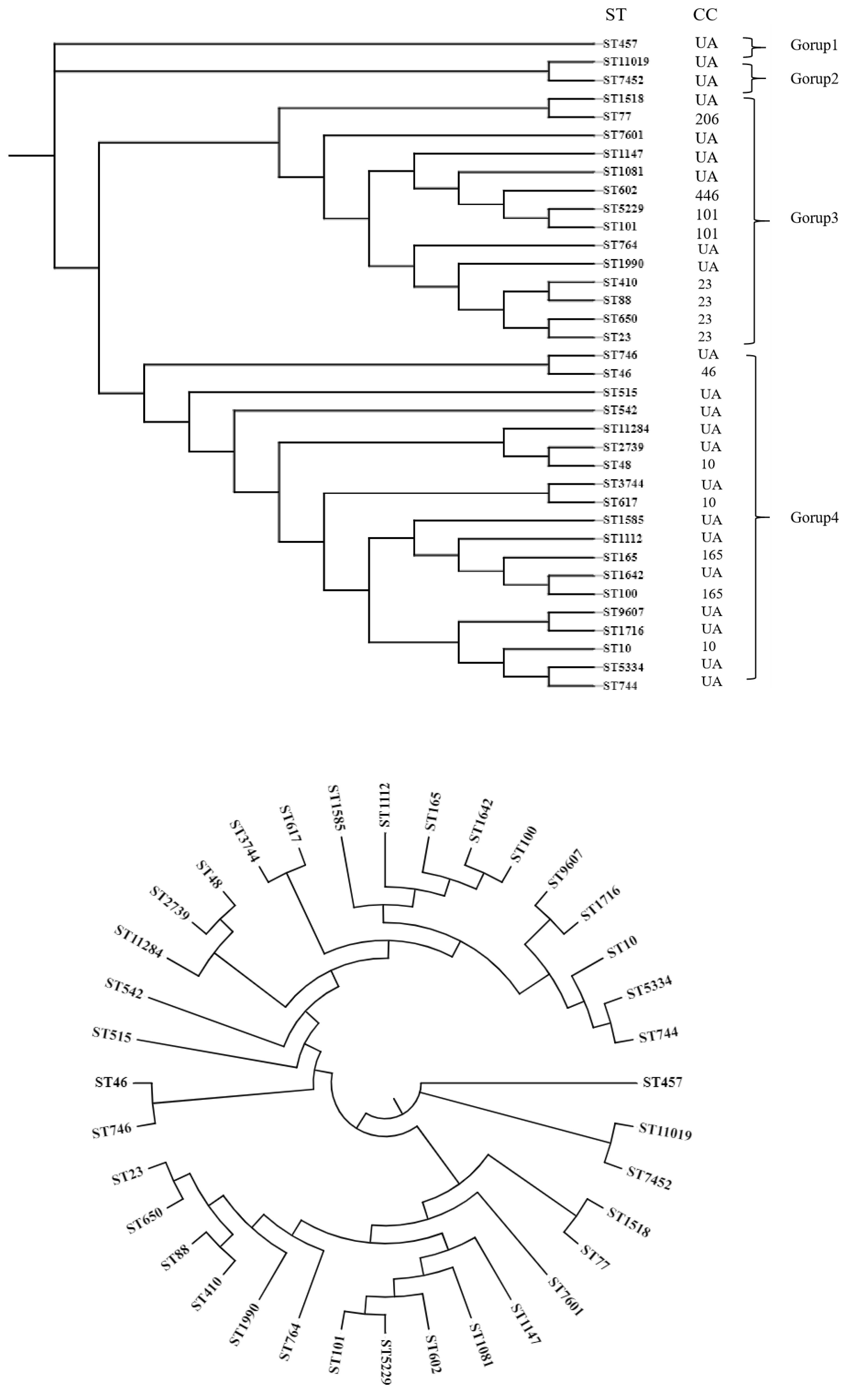 Preprints 189242 g006