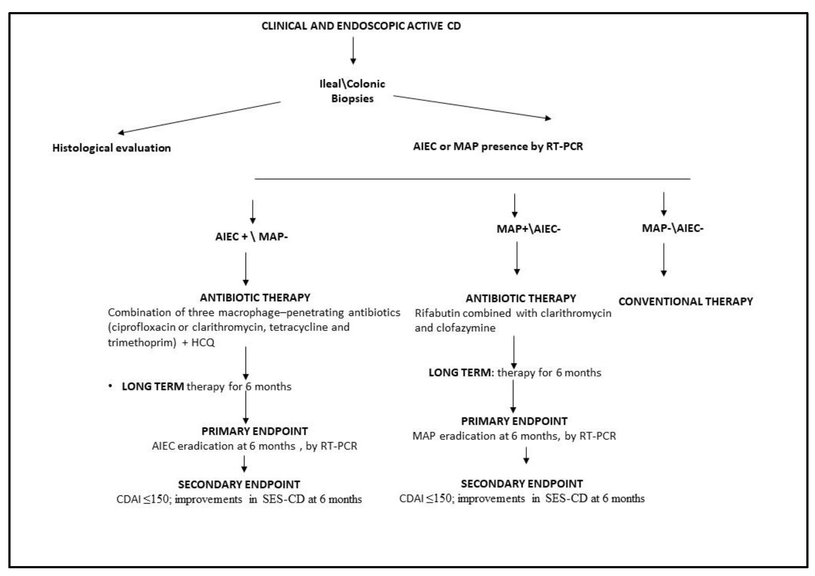 Preprints 95911 g002
