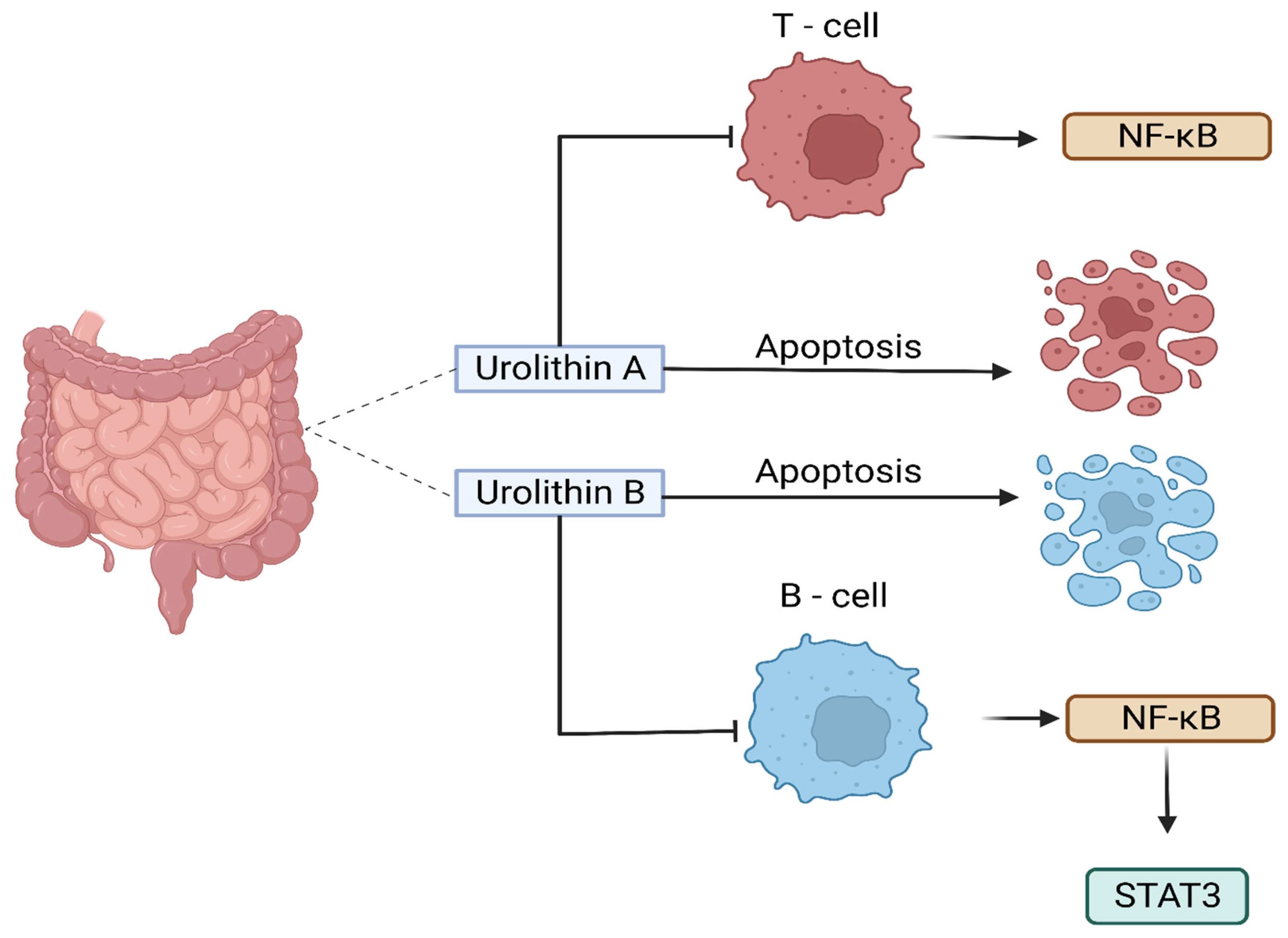 Preprints 101332 g003