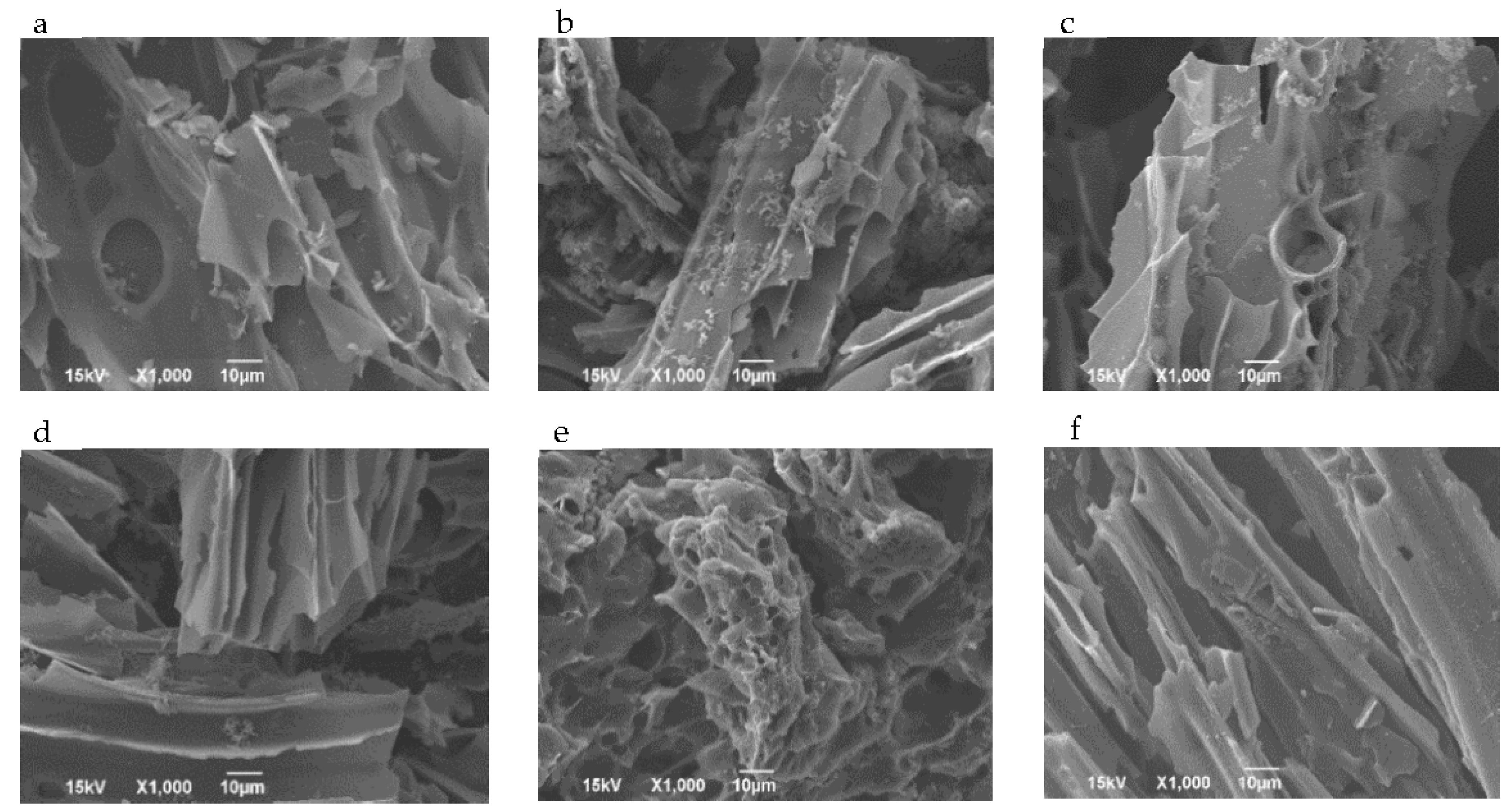 Preprints 173423 g005