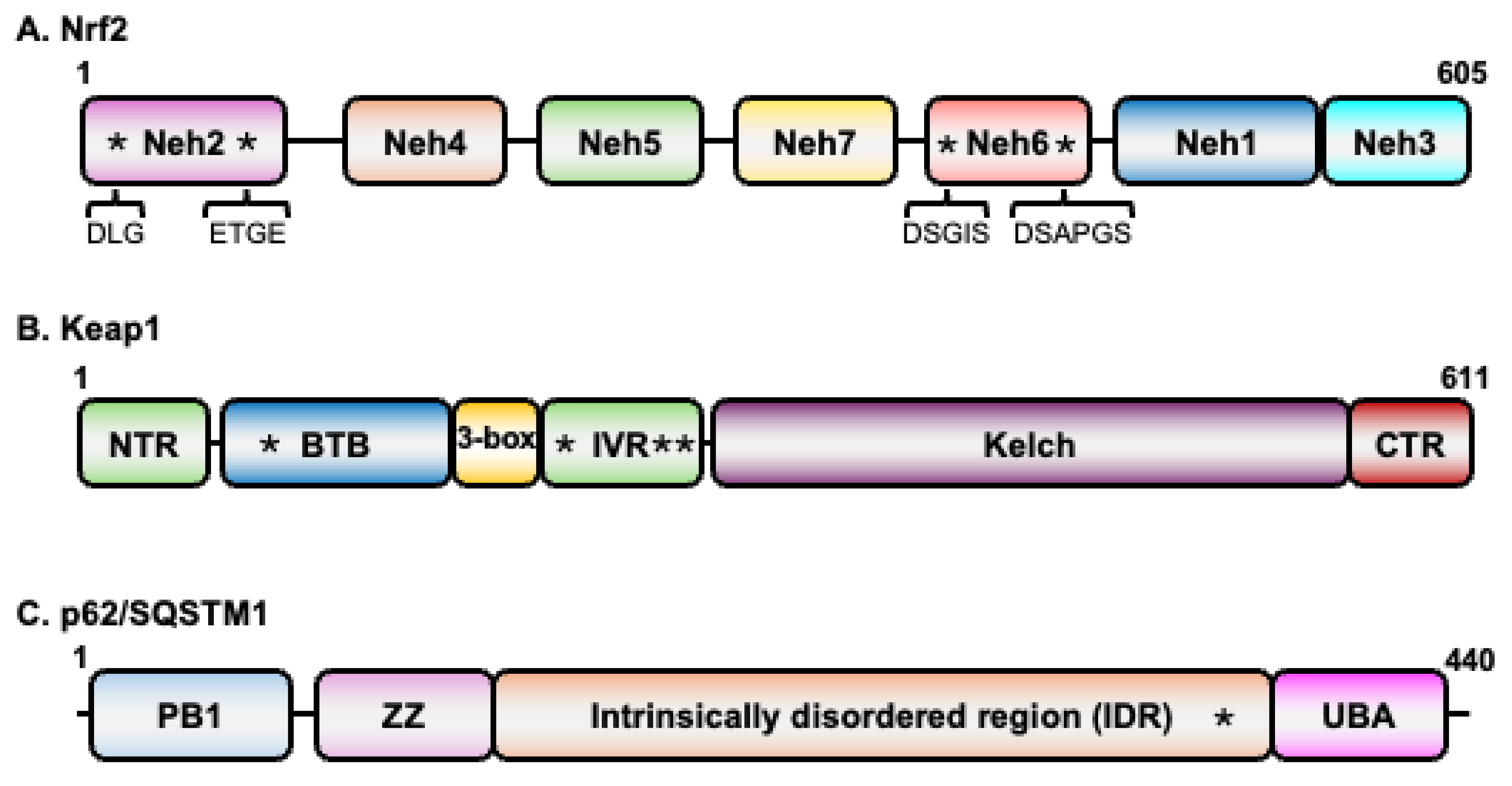 Preprints 182278 g001
