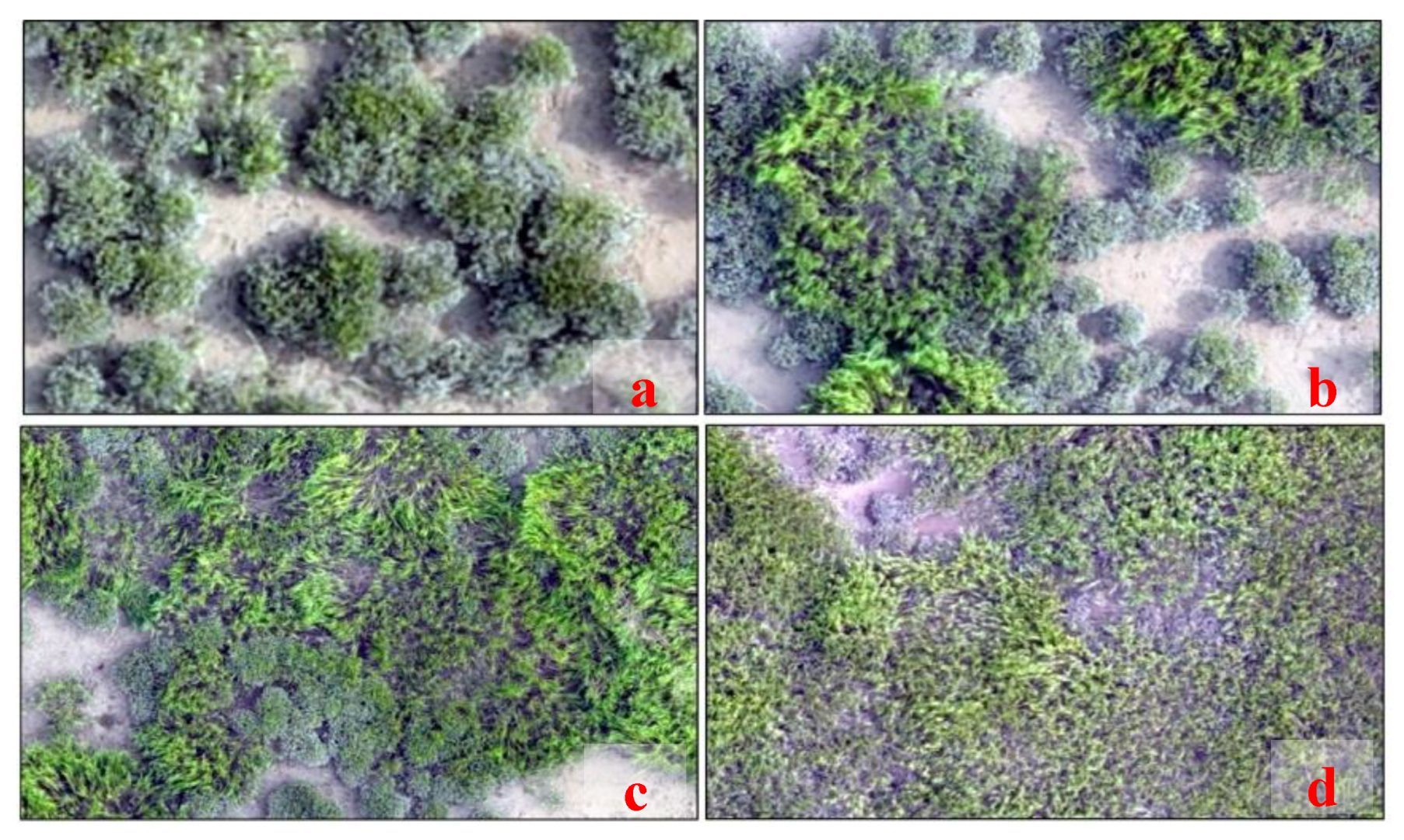 Preprints 188869 g003