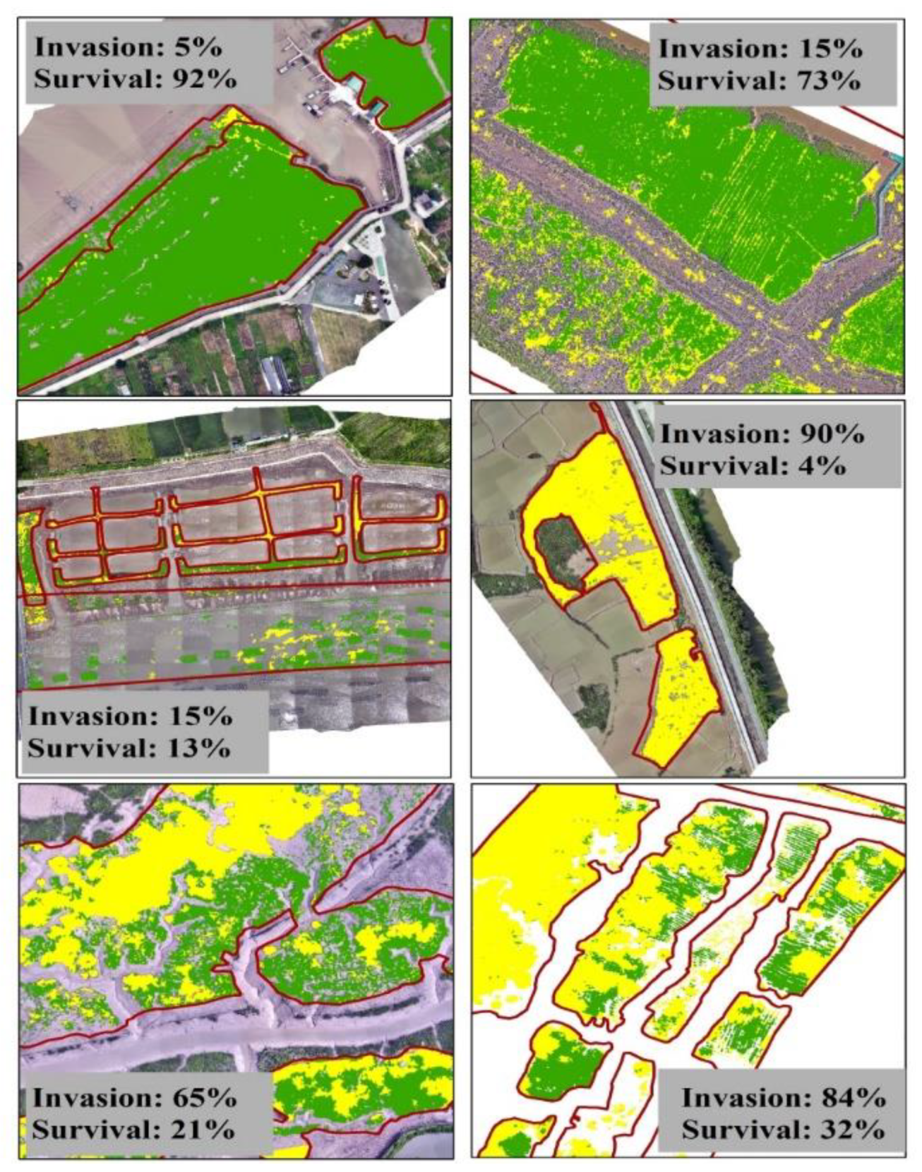 Preprints 188869 g012