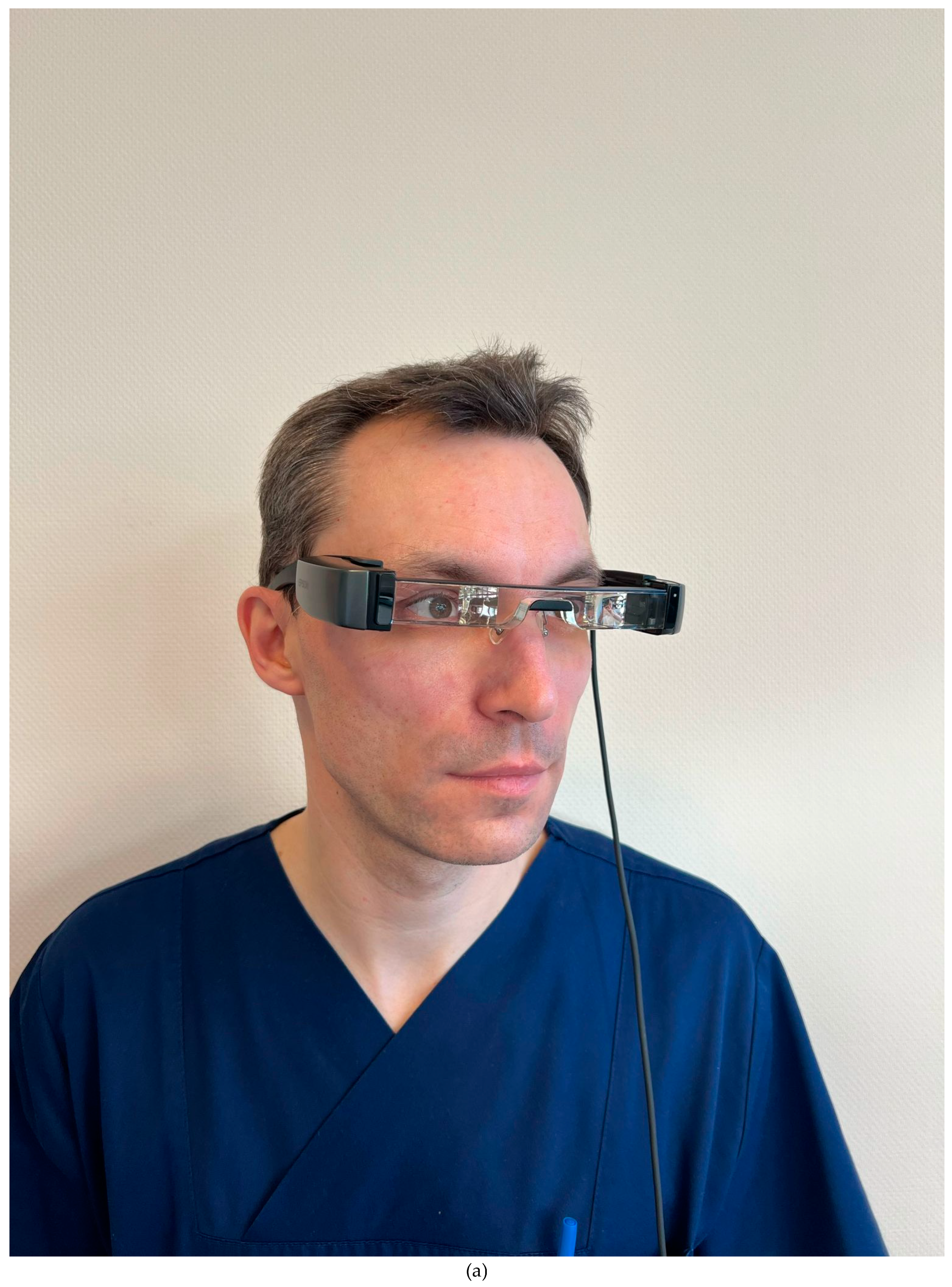 Preprints 150694 g001a