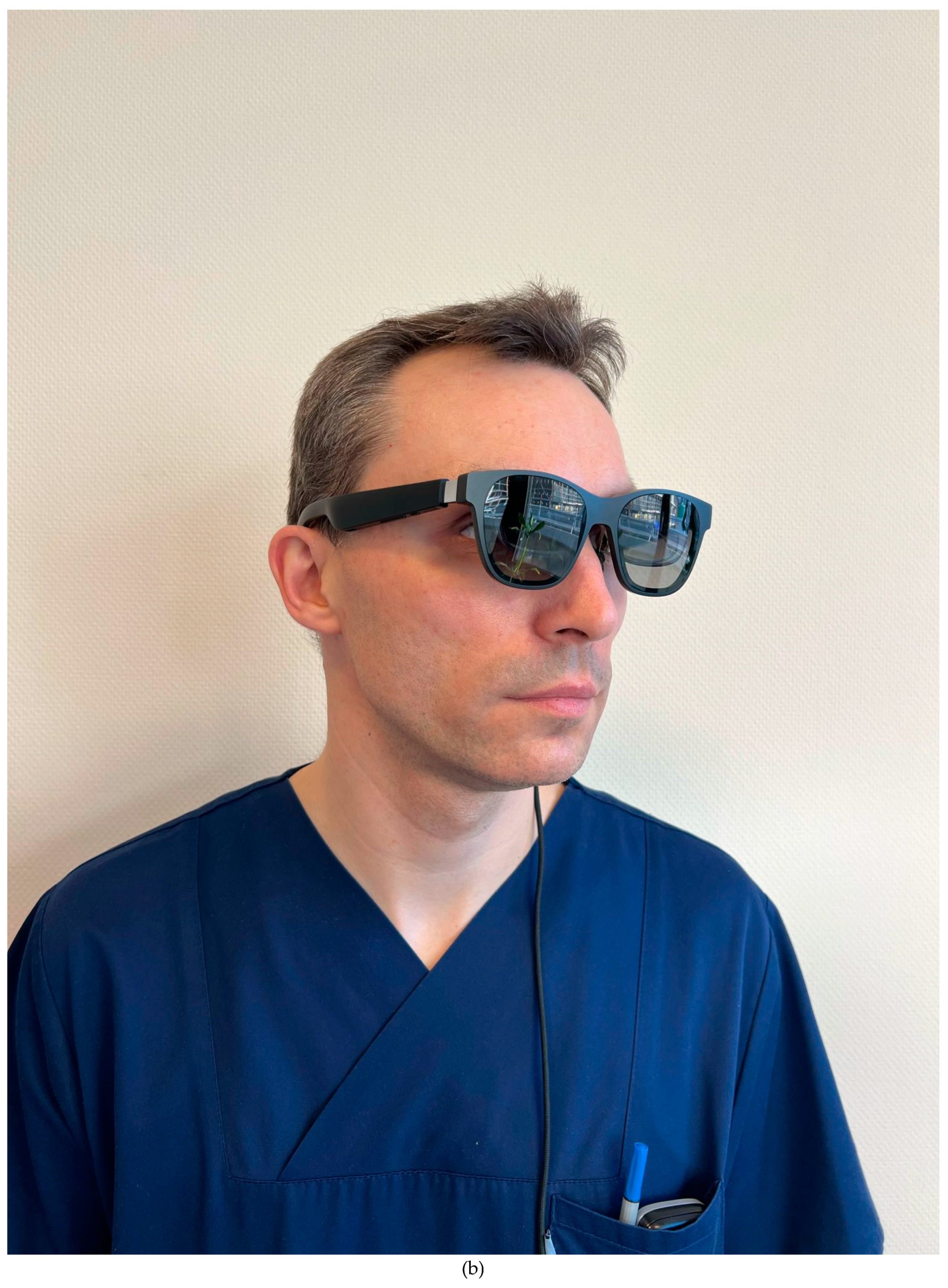 Preprints 150694 g001b