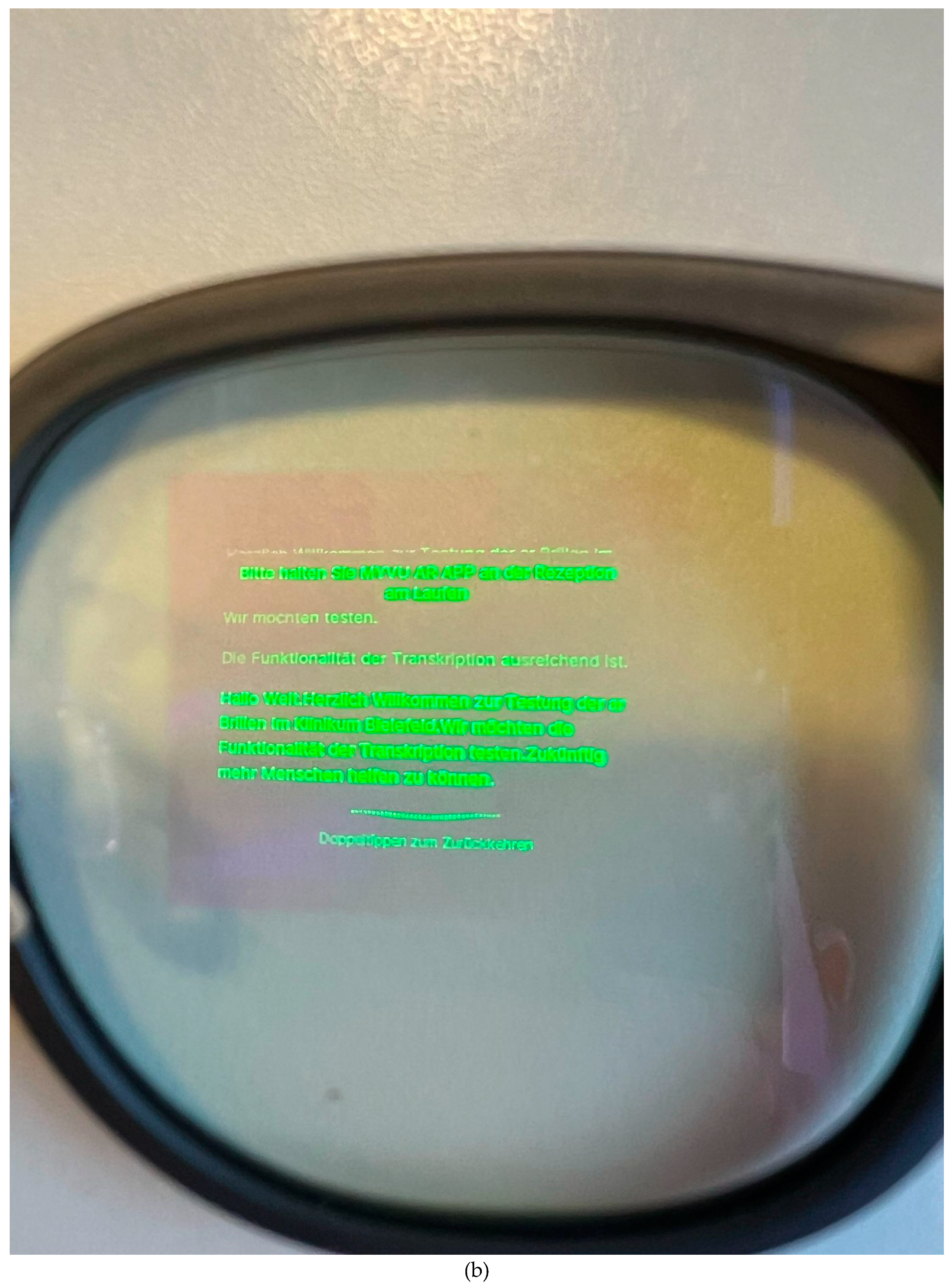 Preprints 150694 g002b