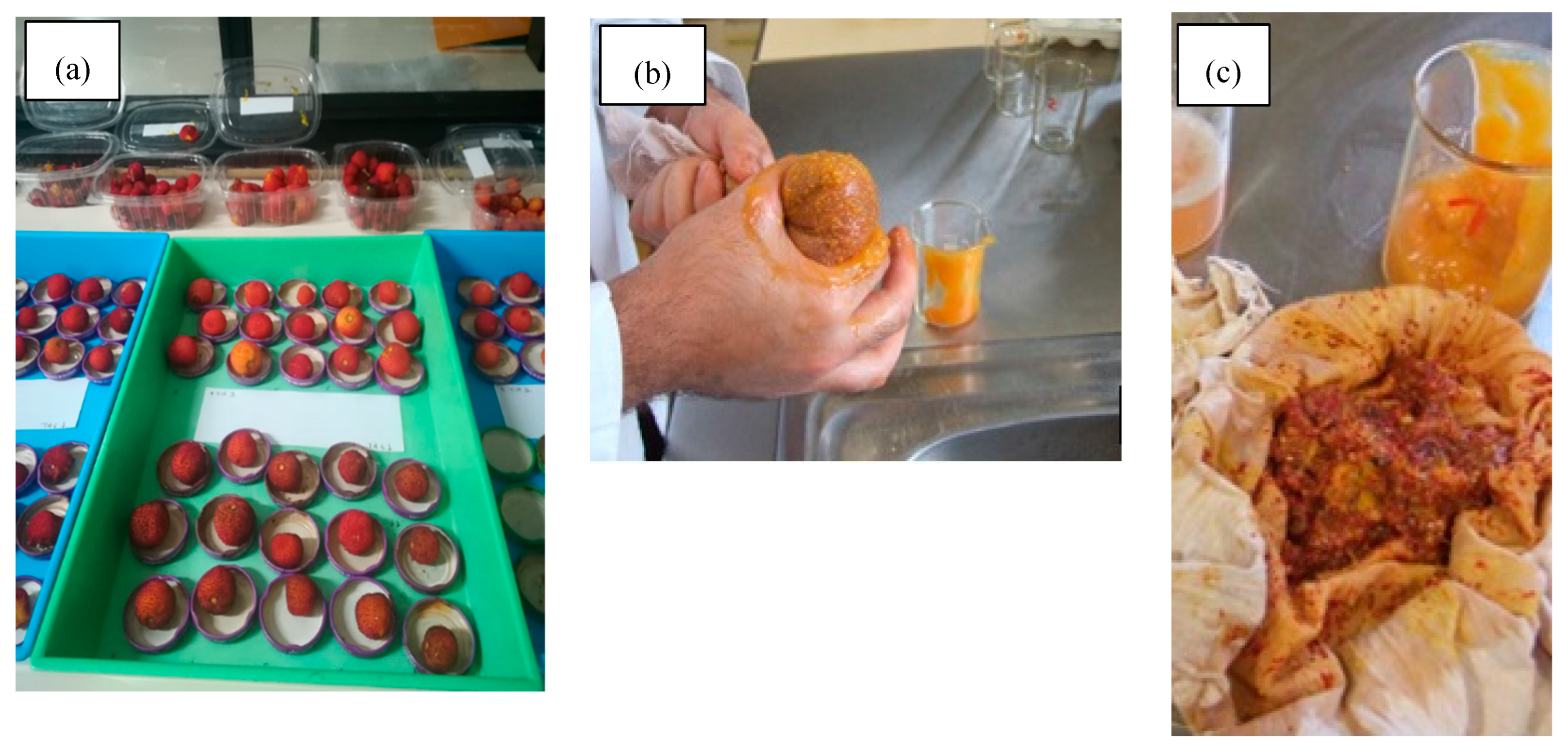 Preprints 138226 g002