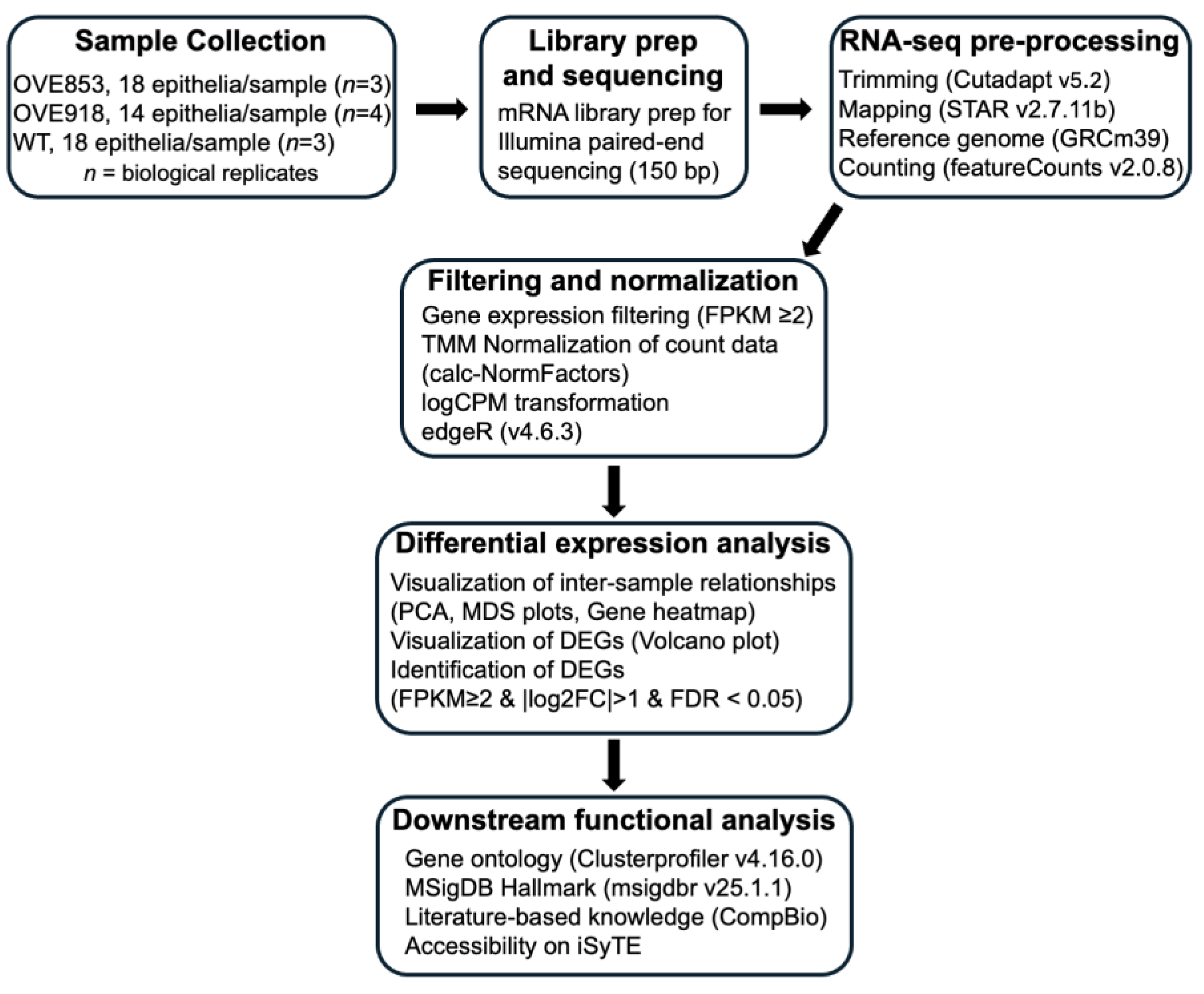 Preprints 216335 g001 Preprints 216335 g001