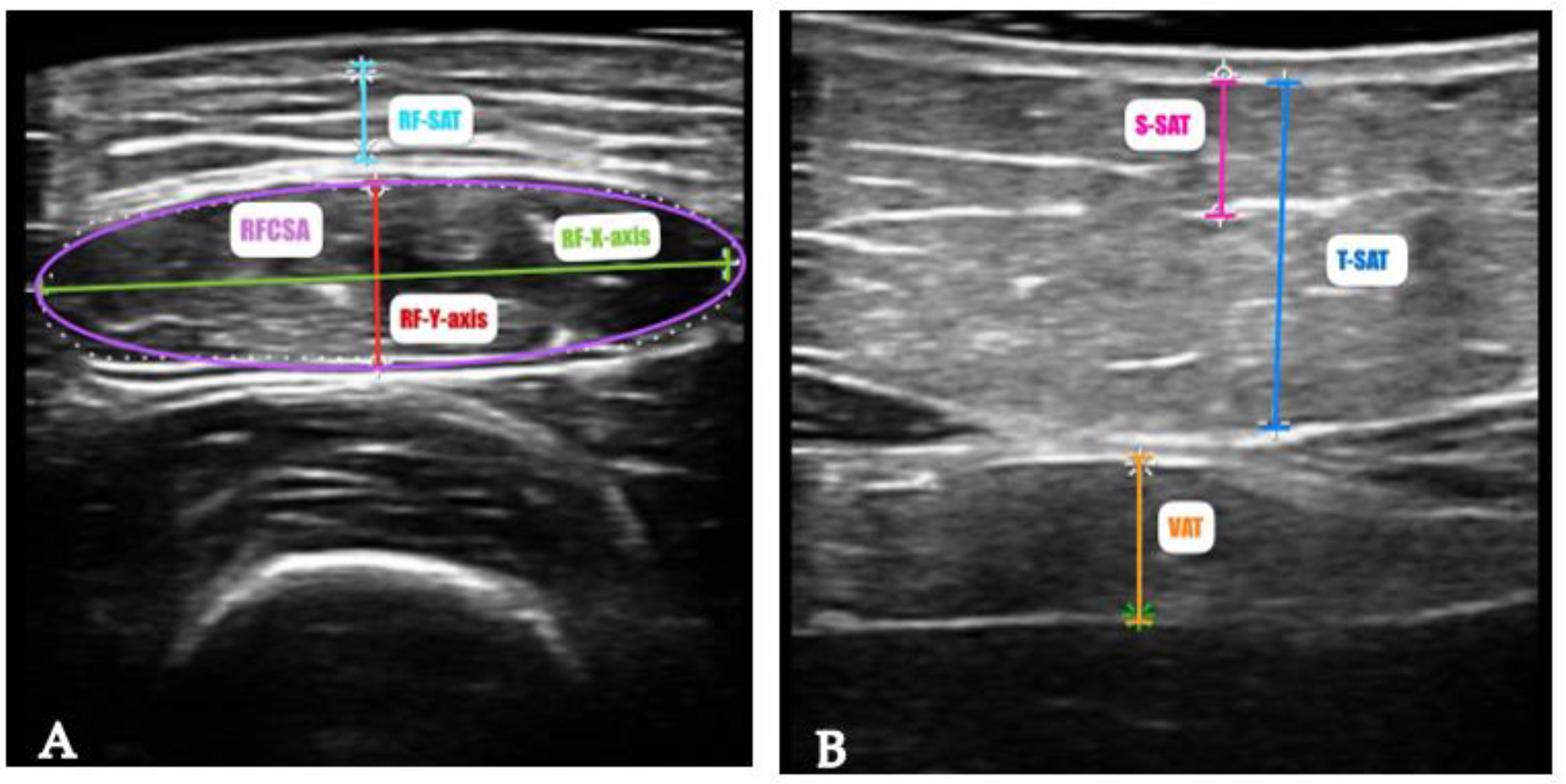 Preprints 139858 g001