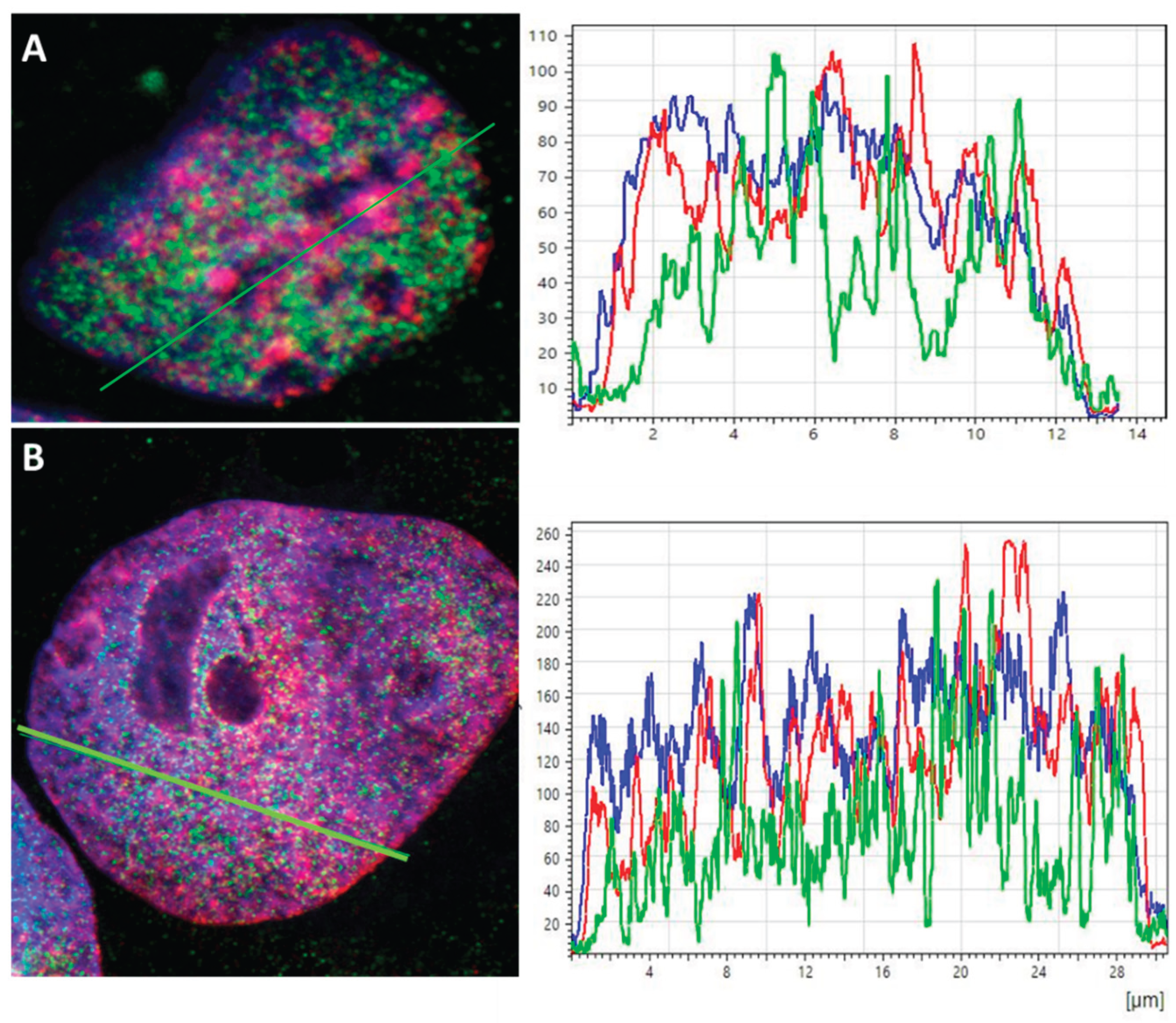 Preprints 163529 g001