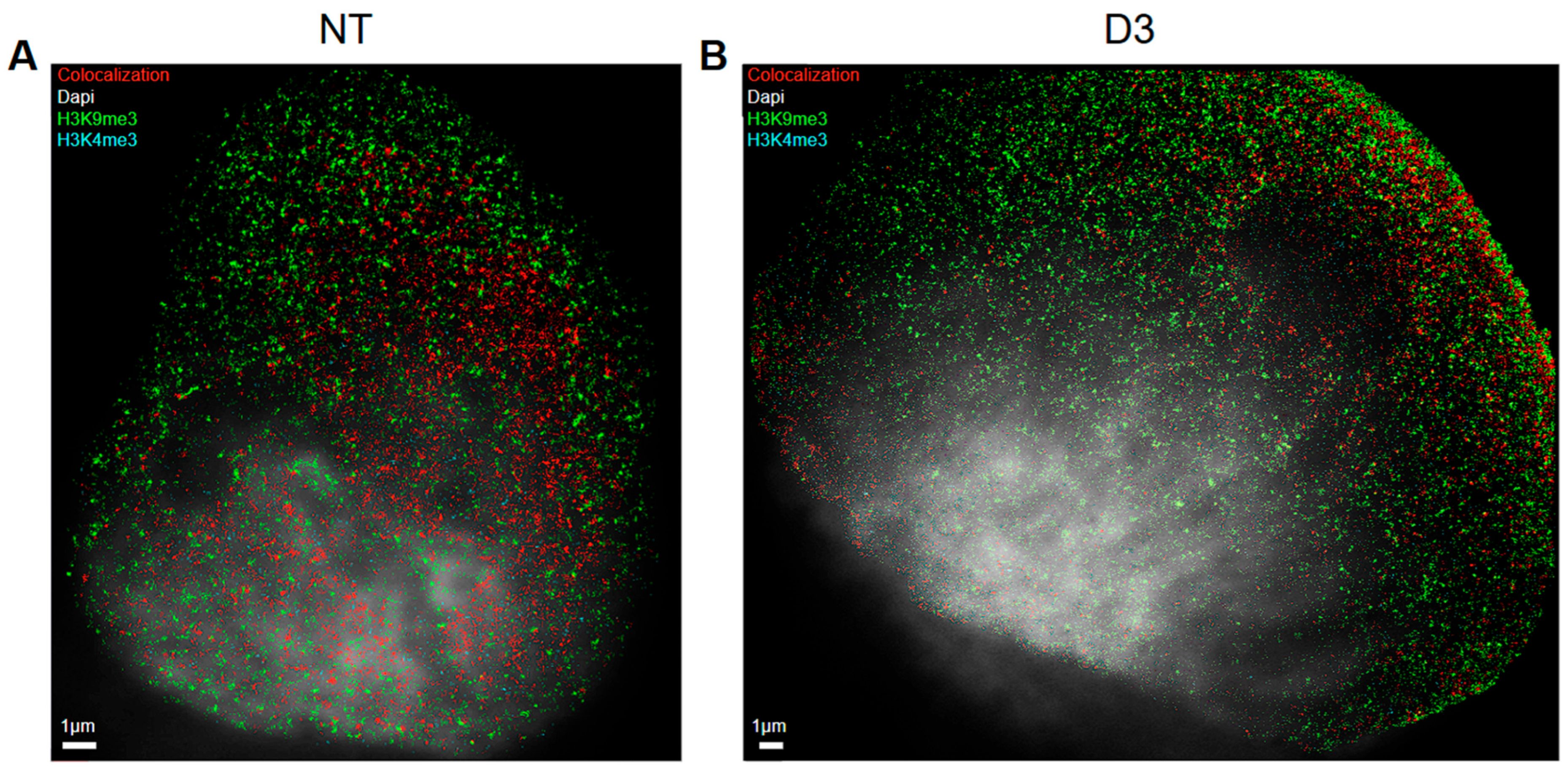 Preprints 163529 g003