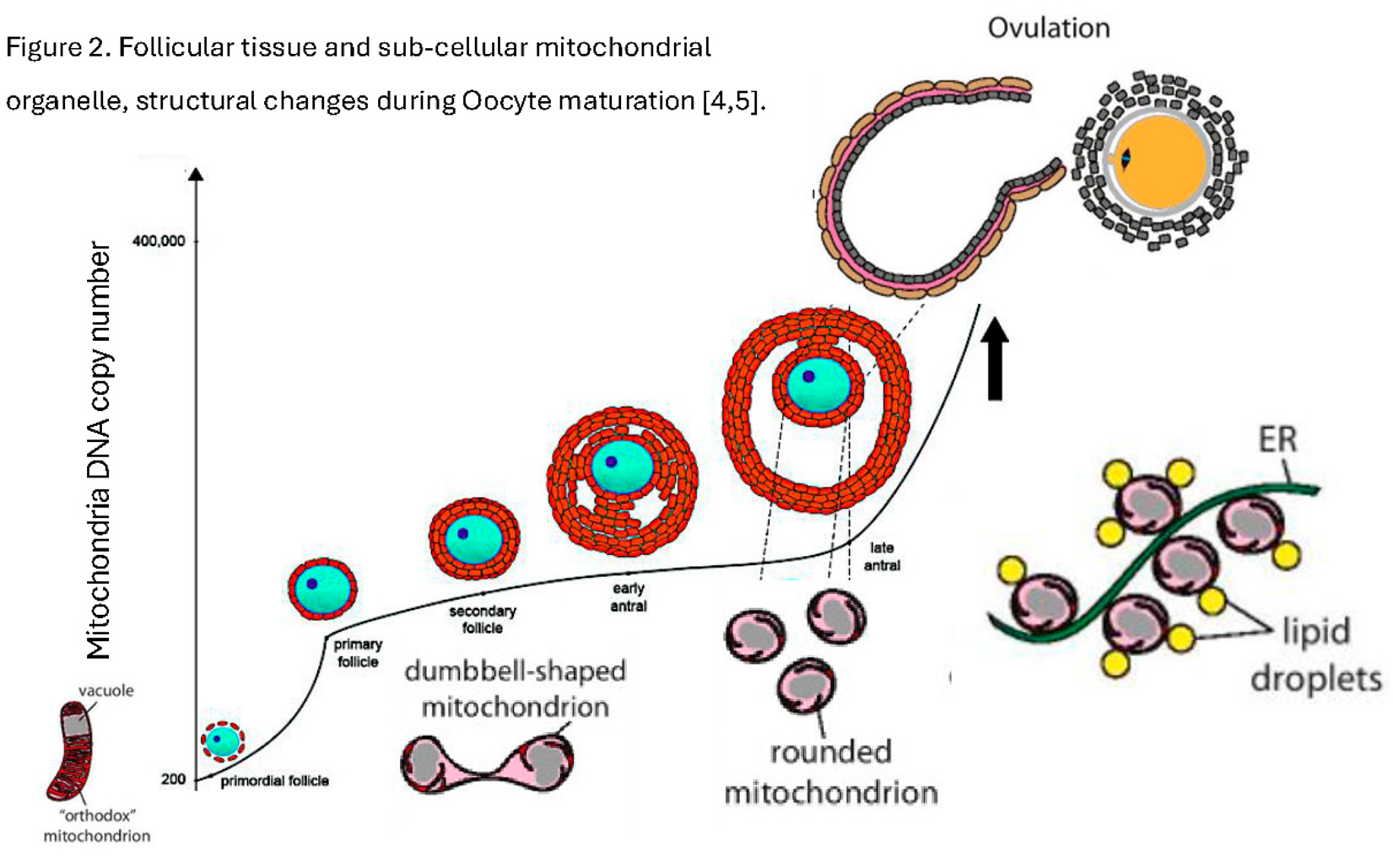 Preprints 177072 i002