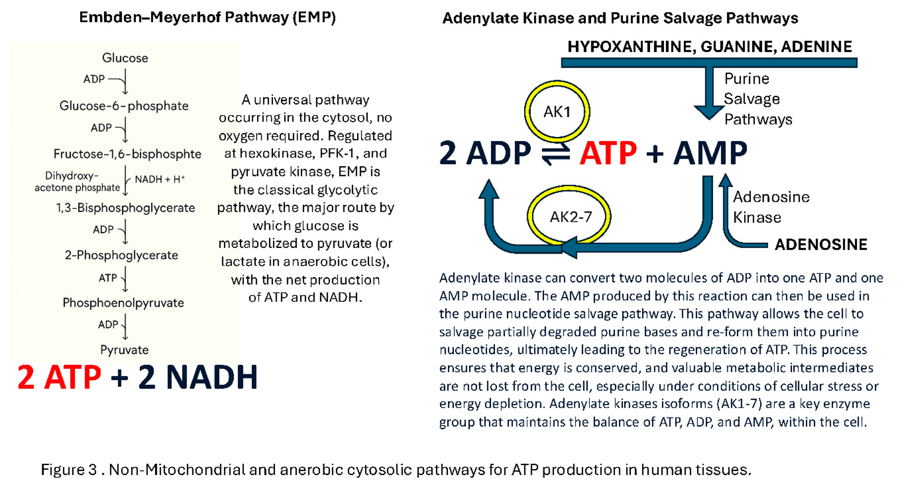 Preprints 177072 i004