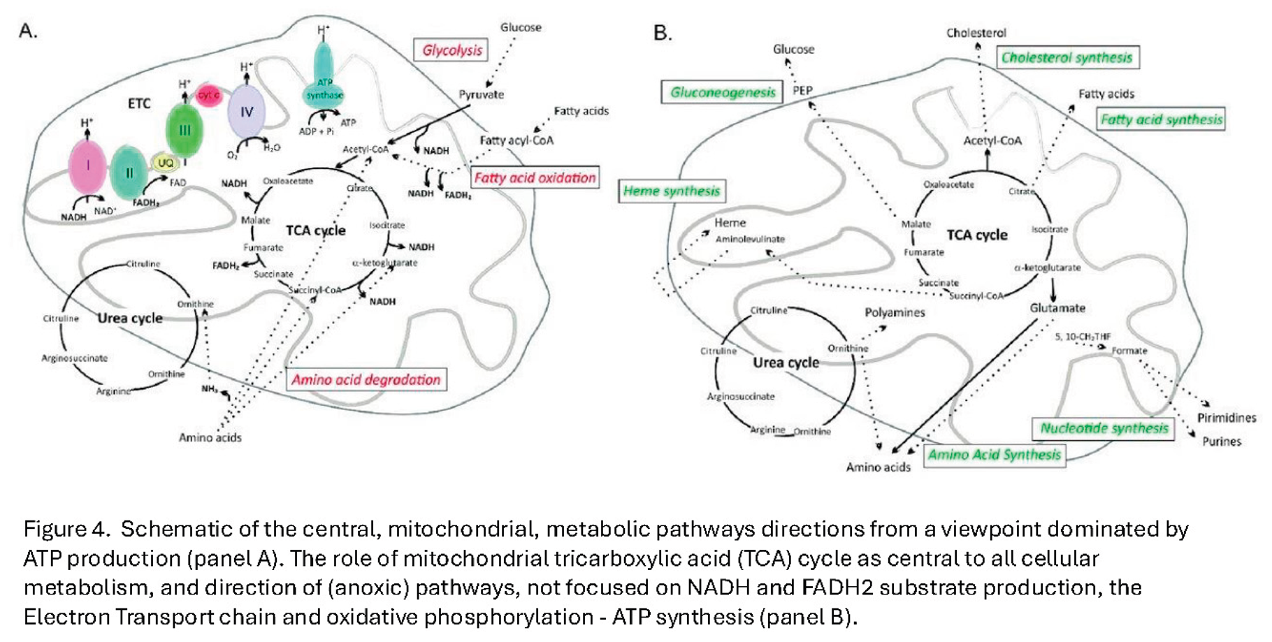 Preprints 177072 i005