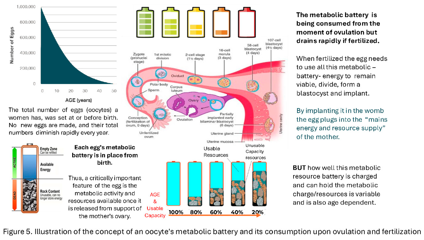 Preprints 177072 i006