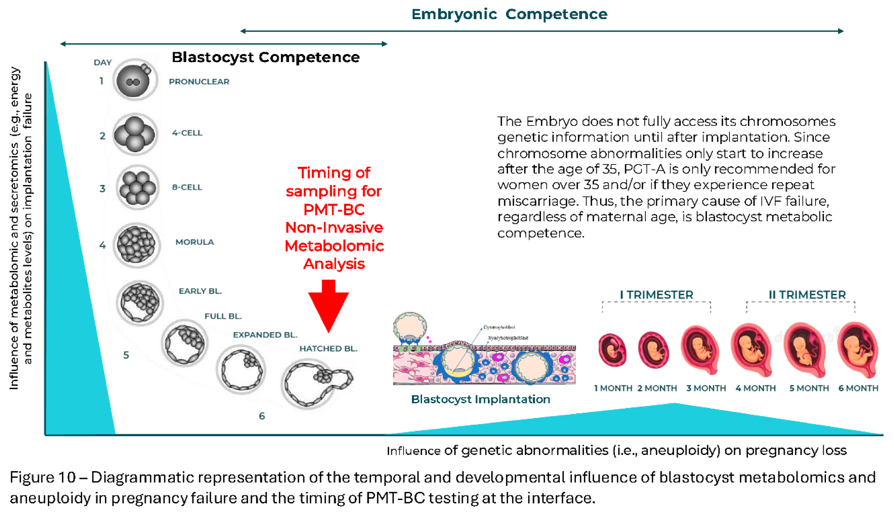Preprints 177072 i012
