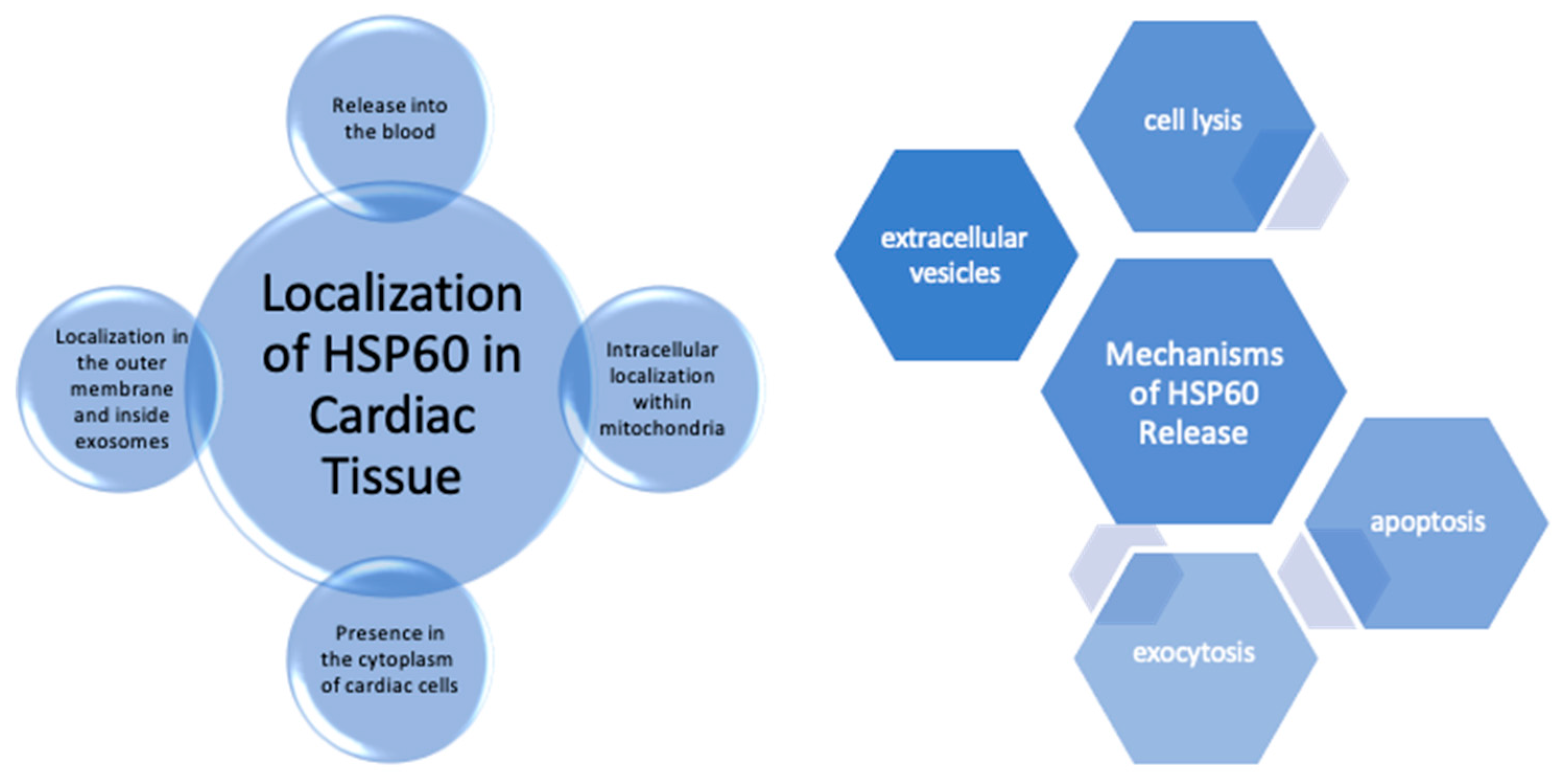 Preprints 145677 g001