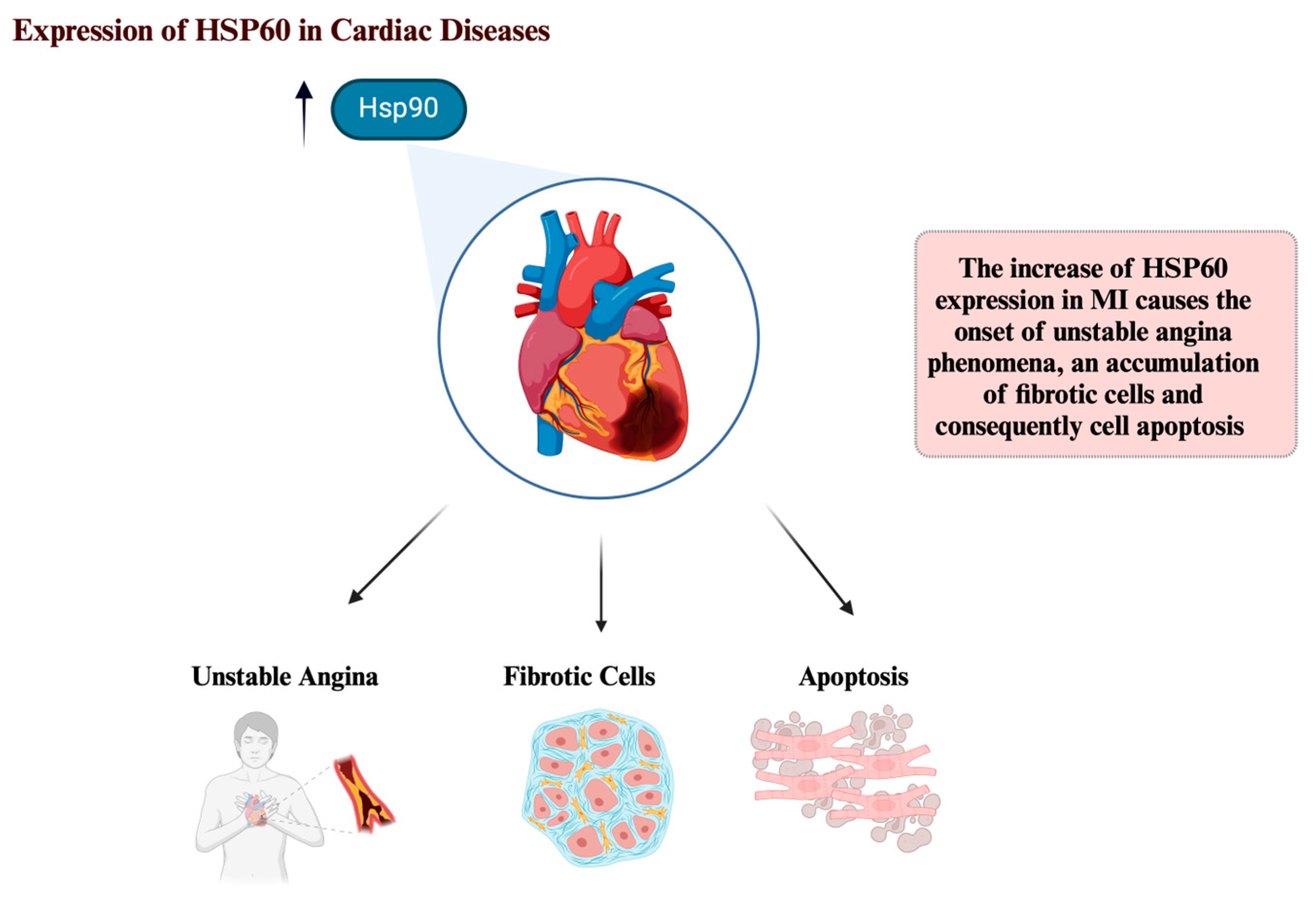 Preprints 145677 g002
