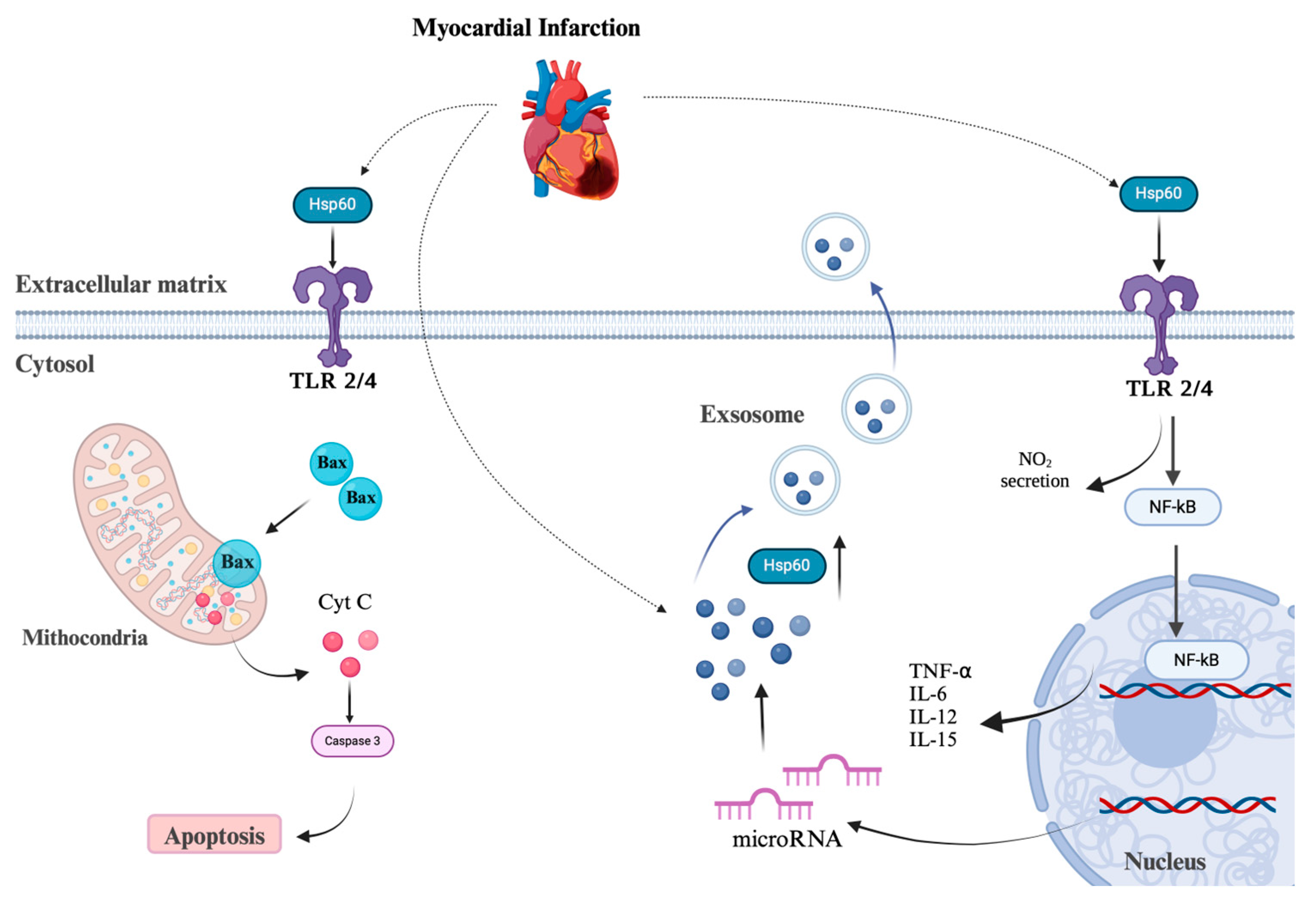 Preprints 145677 g003