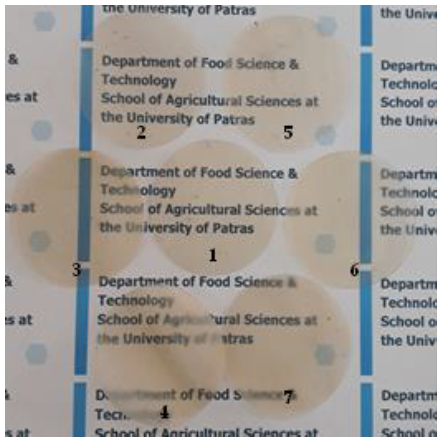 Preprints 84796 g006