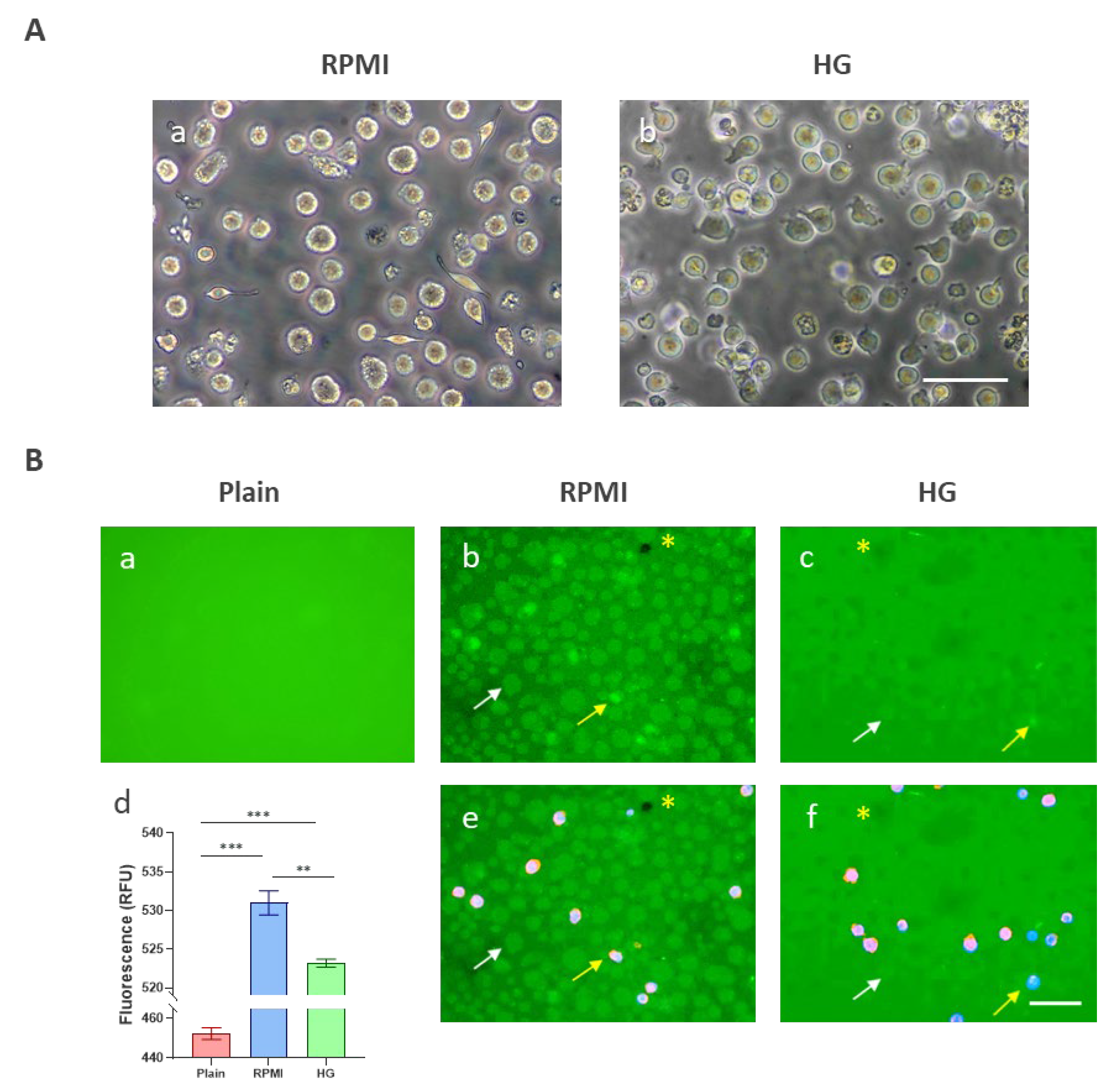 Preprints 203599 g002