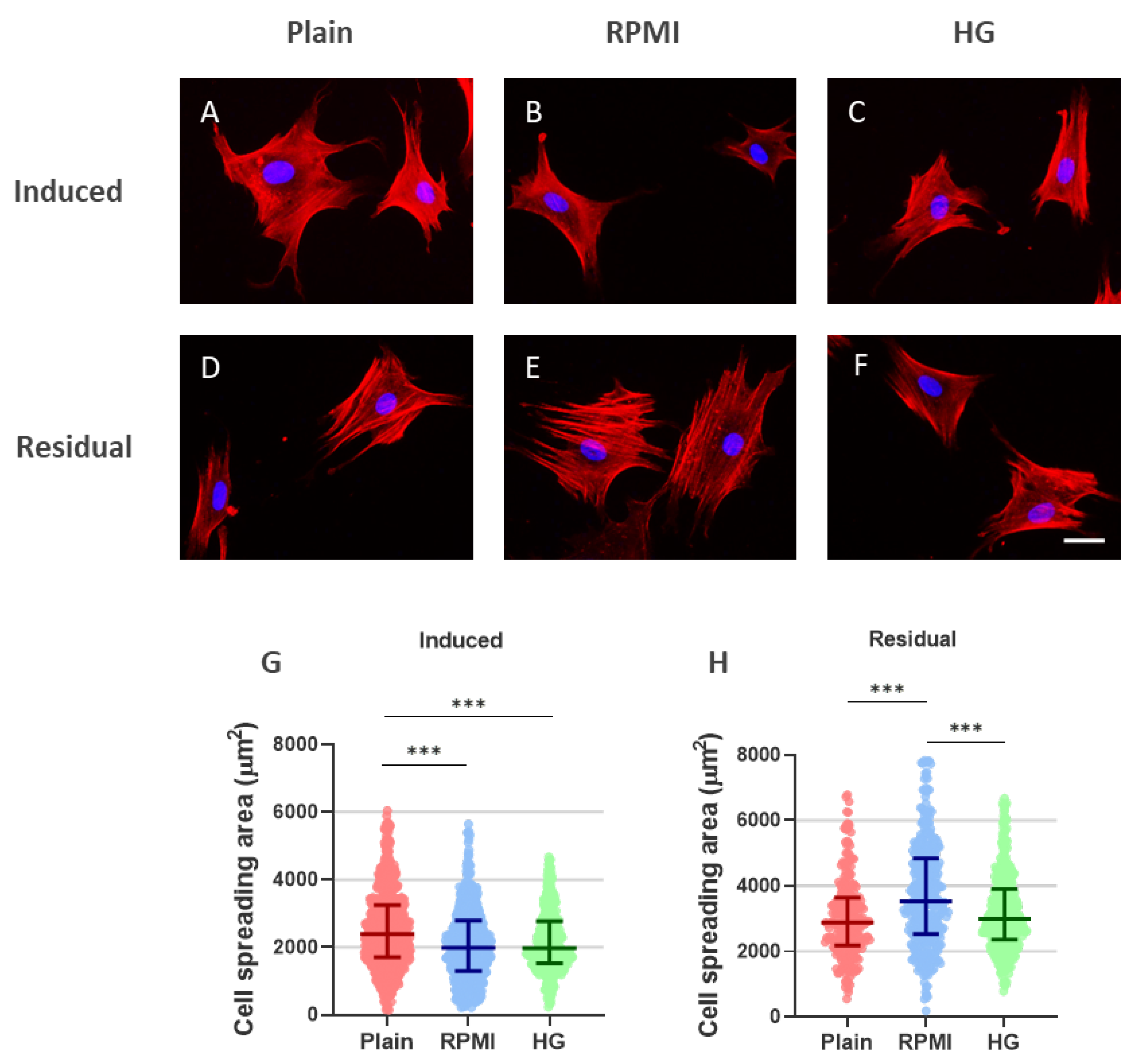 Preprints 203599 g003