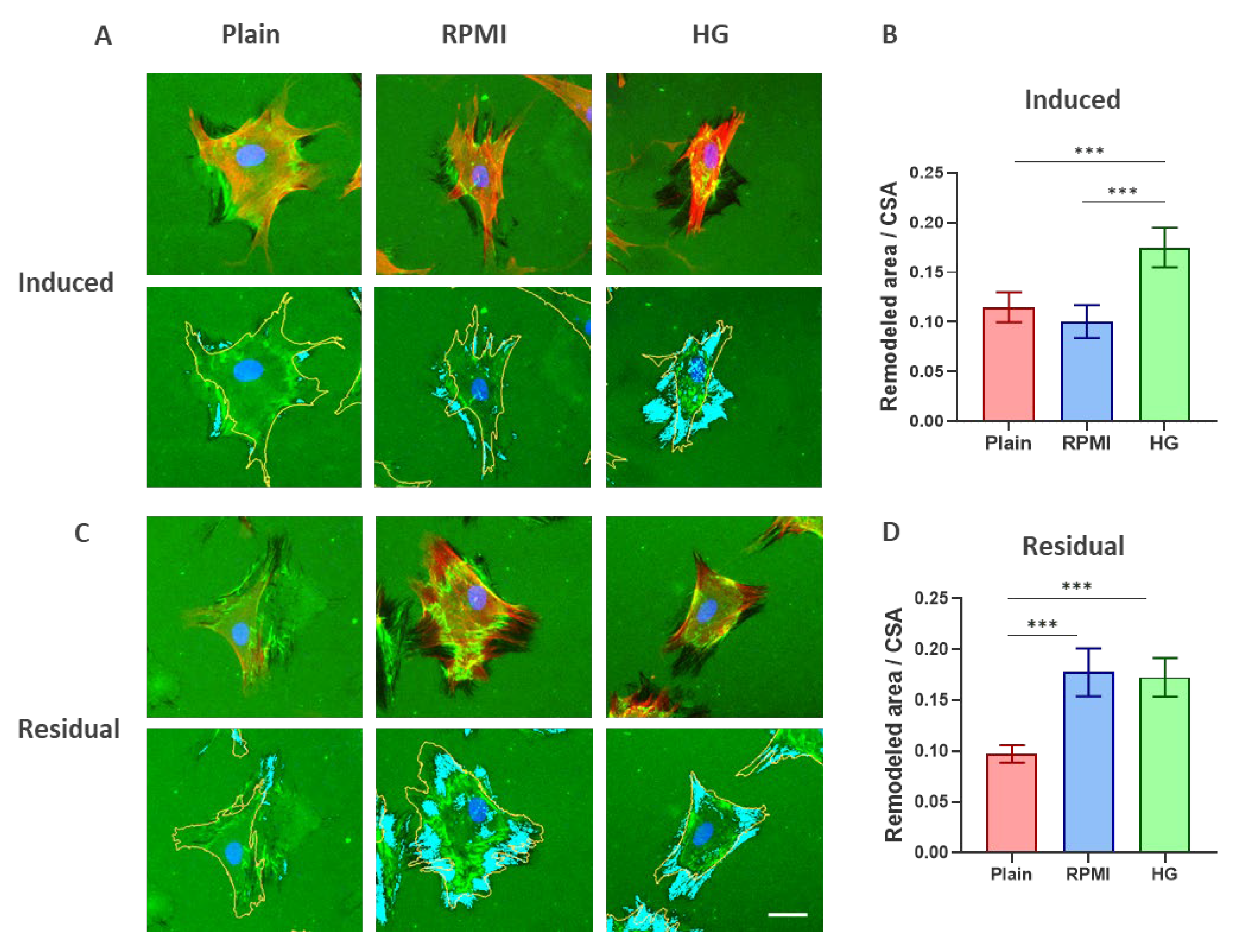 Preprints 203599 g006