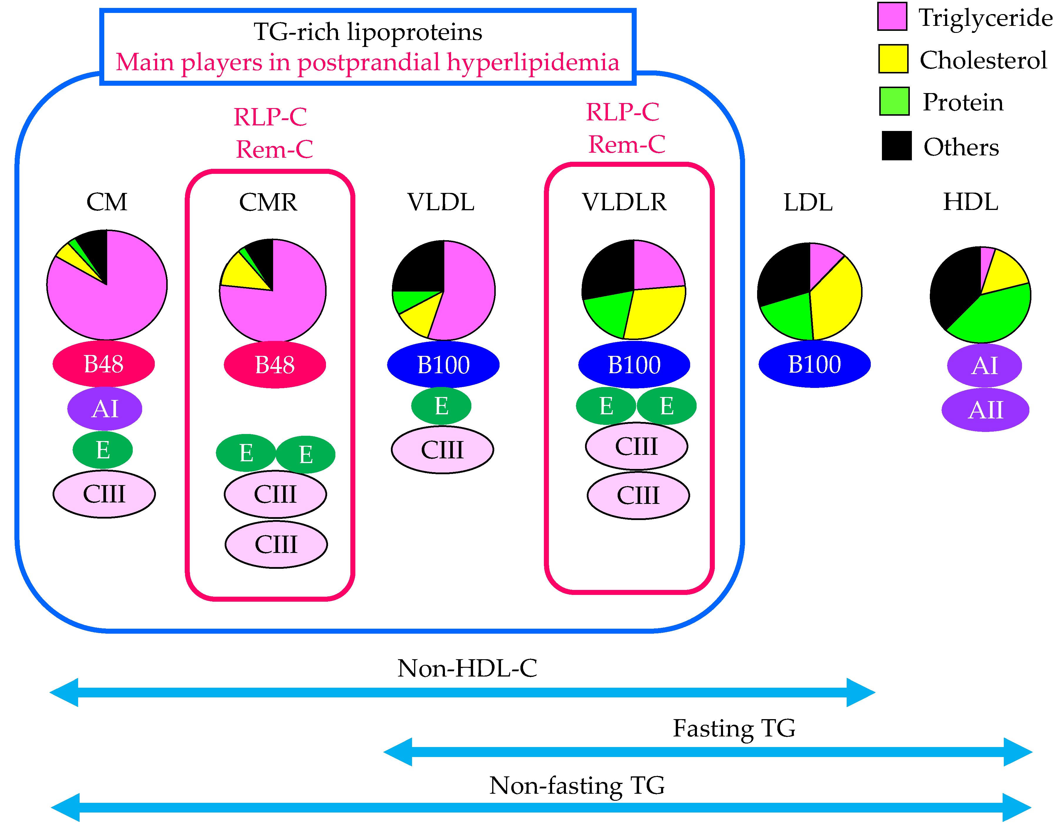 Preprints 83125 g001