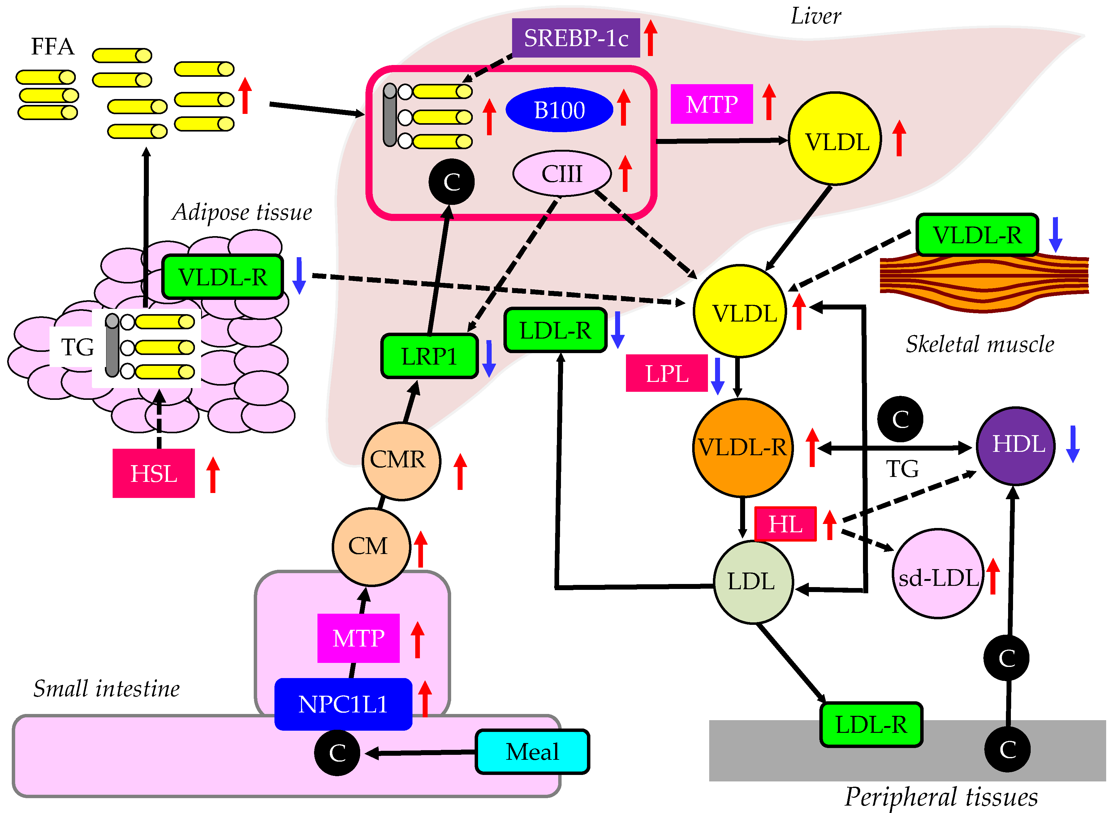 Preprints 83125 g002
