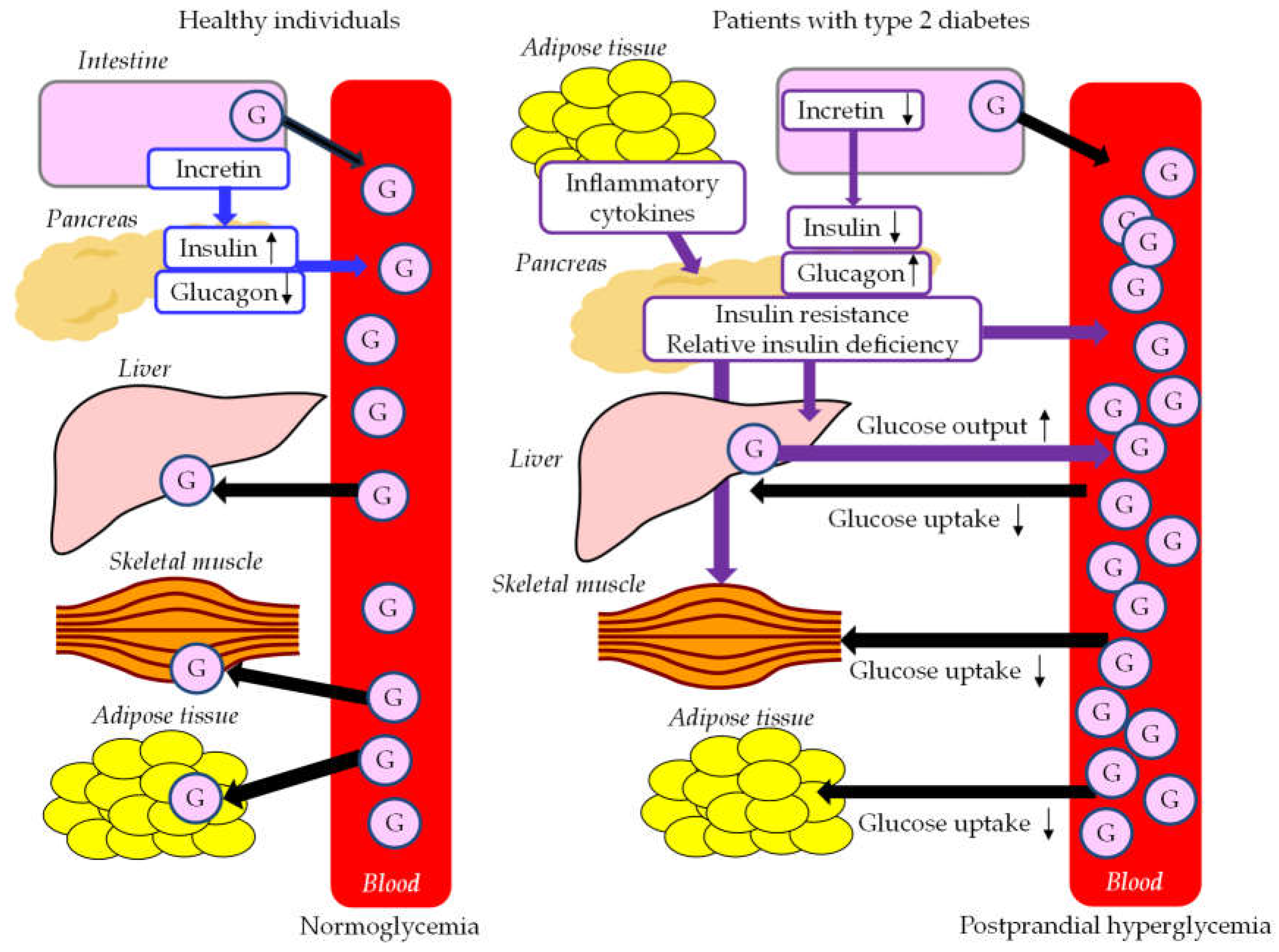 Preprints 83125 g003