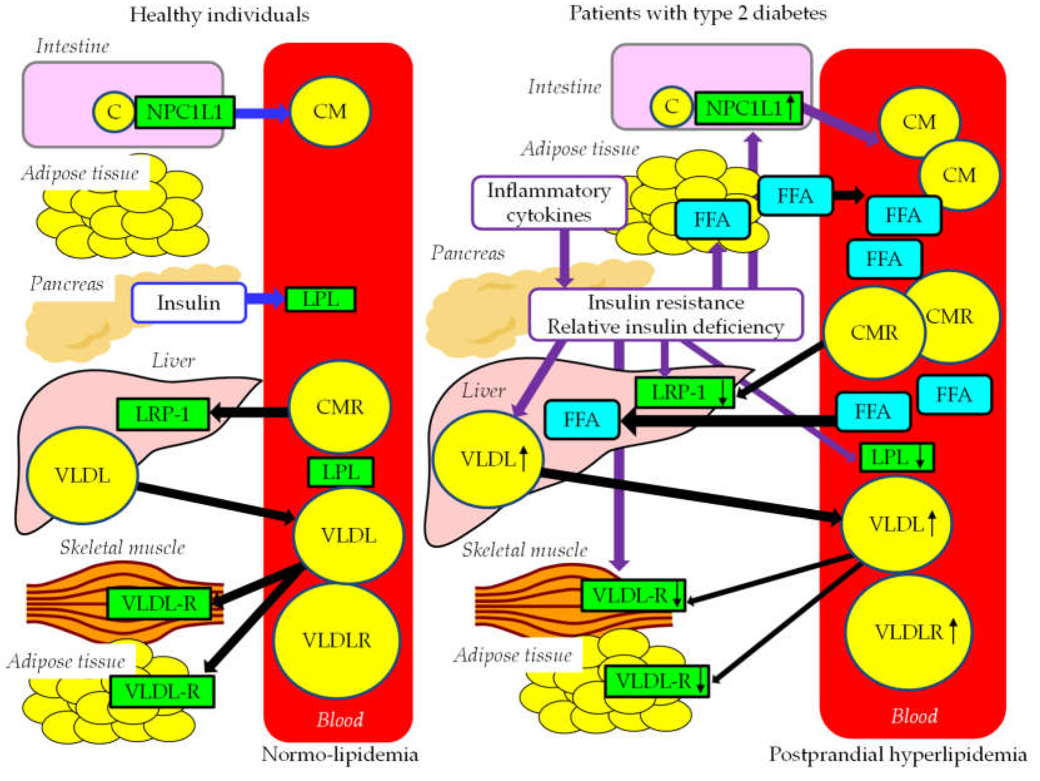 Preprints 83125 g004