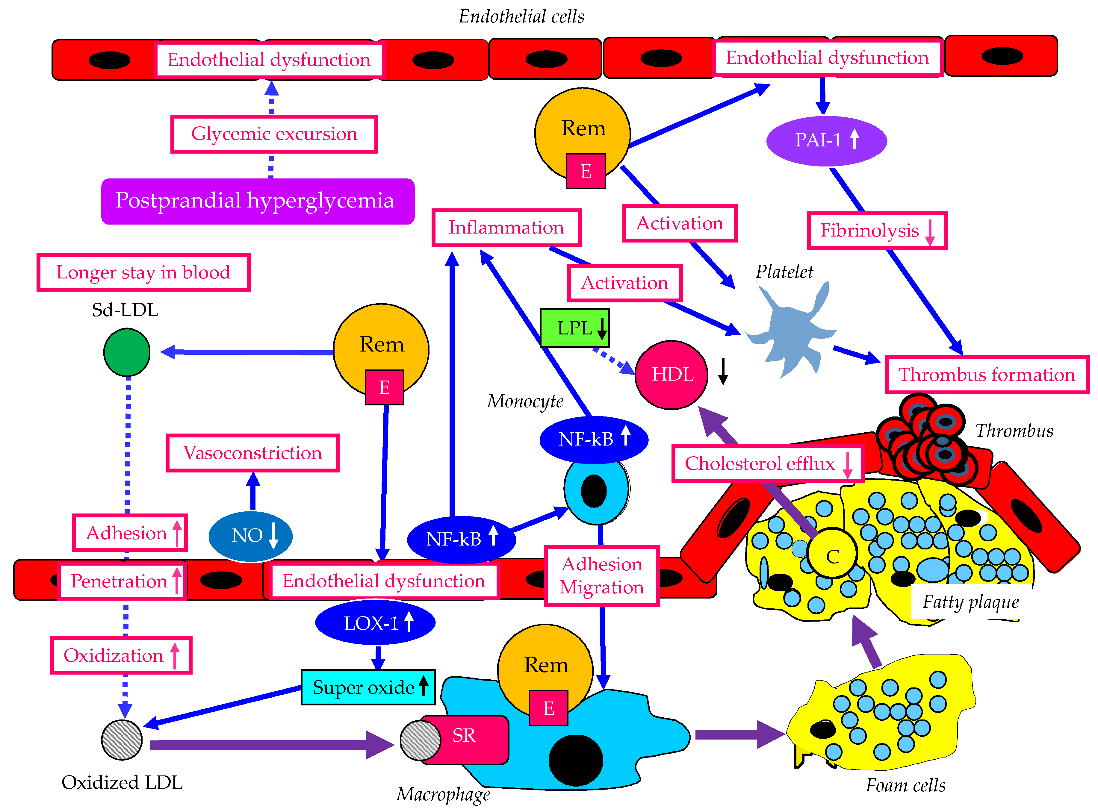 Preprints 83125 g005