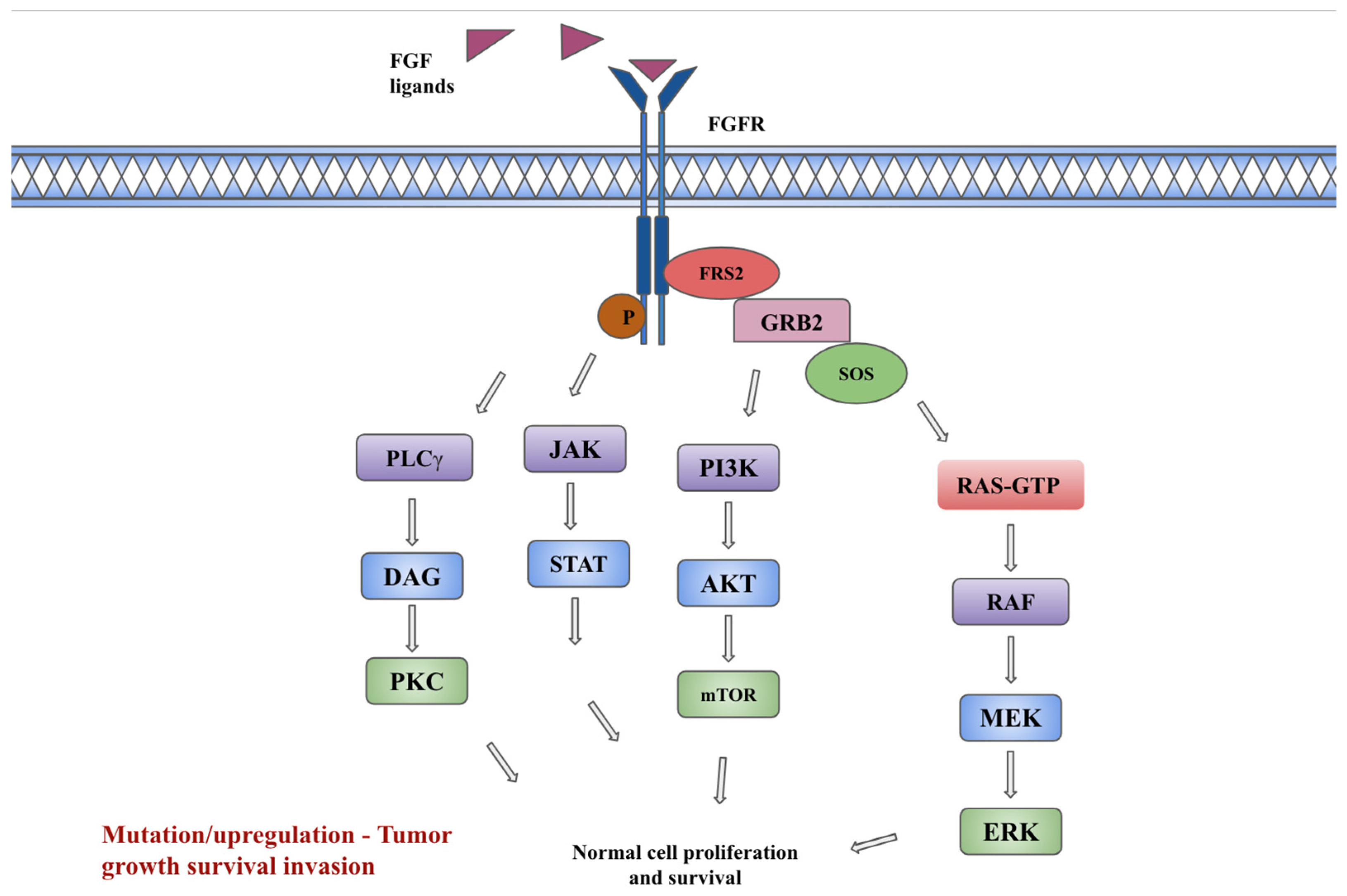 Preprints 92434 g001