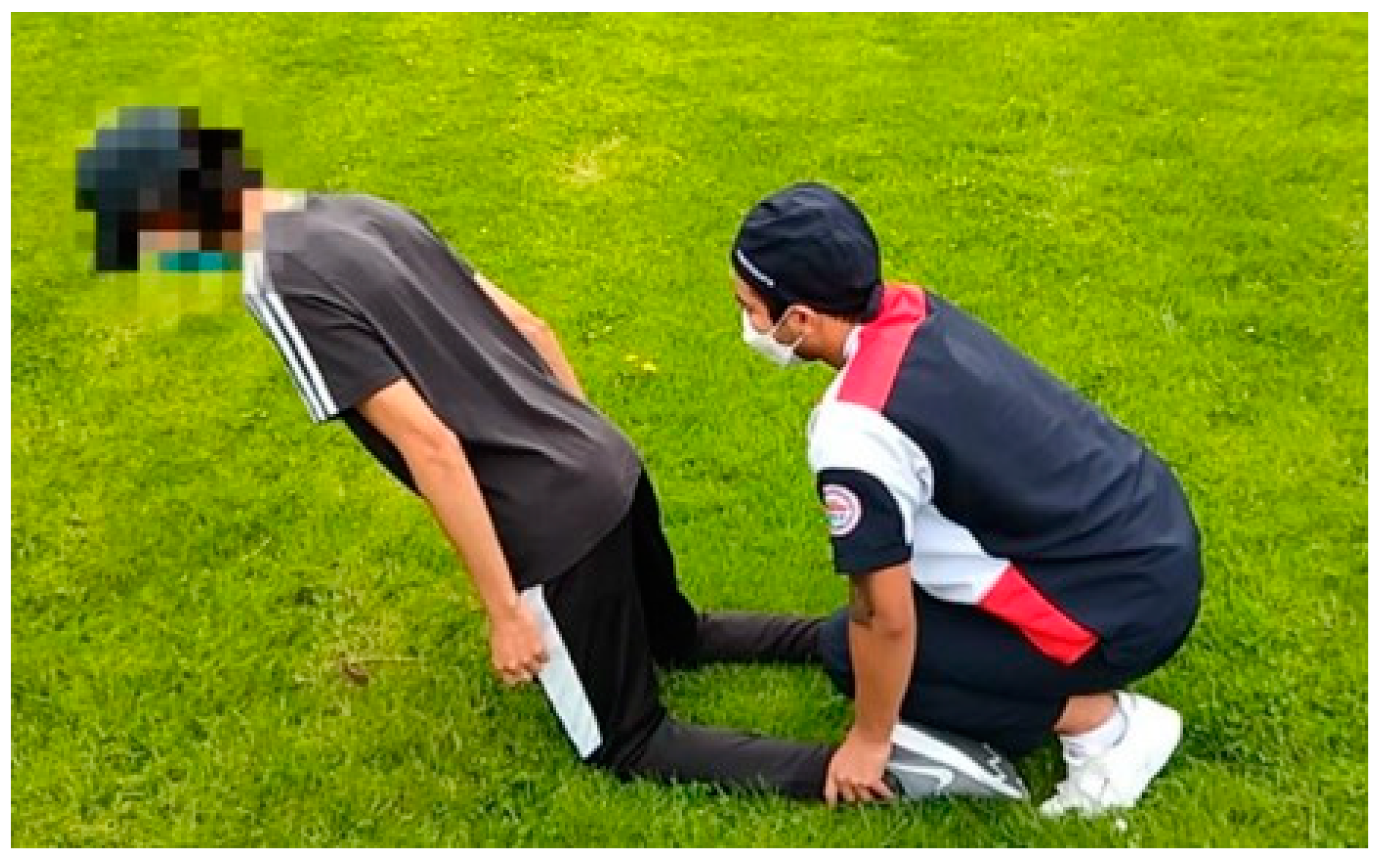 Preprints 153730 g002